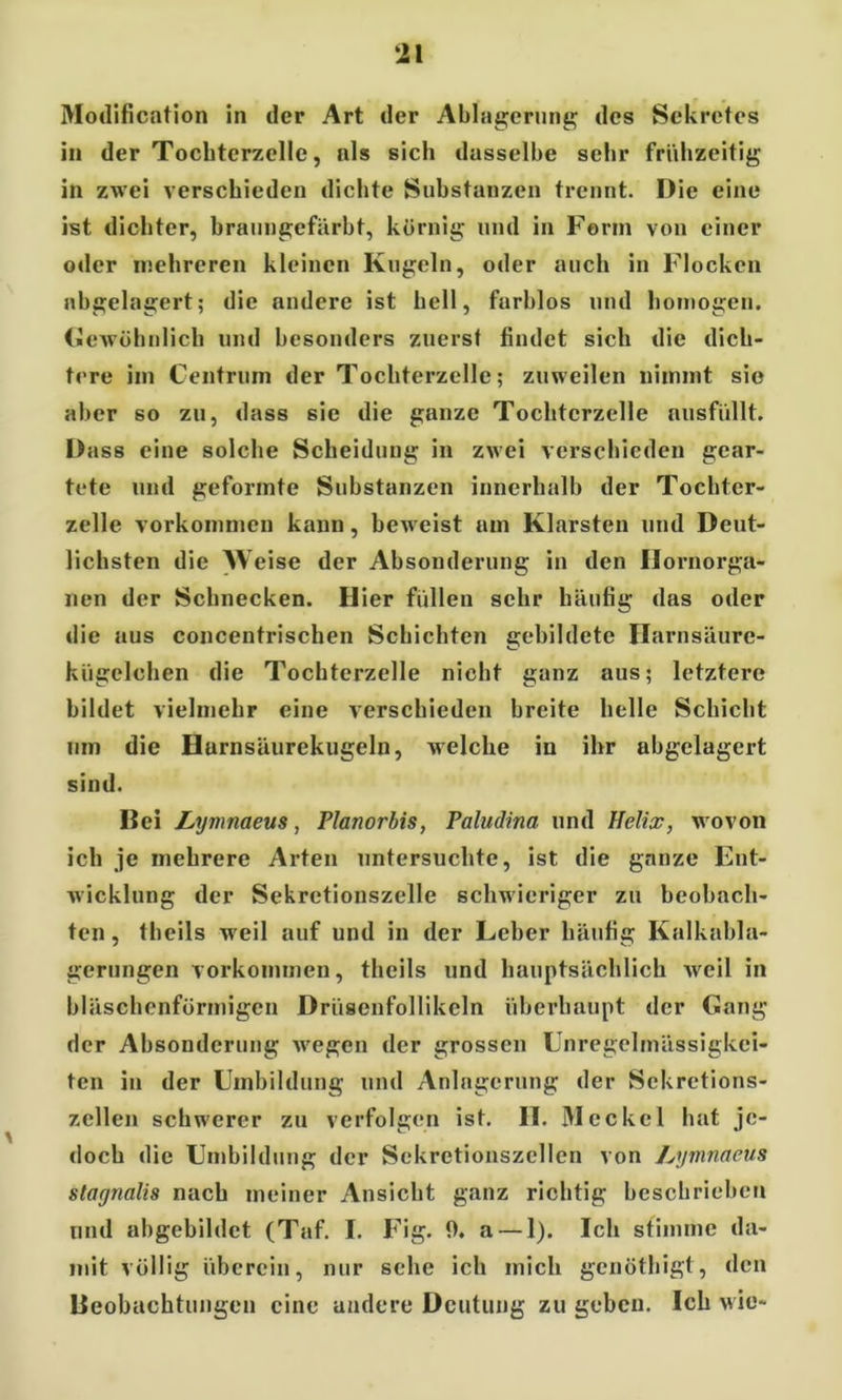 ‘21 Modification in der Art der Ablagerung des Sekretes in der Tochterzelle, als sich dasselbe sehr frühzeitig in zwei verschieden dichte Substanzen trennt. Die eine ist dichter, braungefärbt, körnig und in Form von einer oder mehreren kleinen Kugeln, oder auch in Flocken abgelagert; die andere ist hell, furblos und homogen. (Gewöhnlich und besonders zuerst findet sich die dich- tere im Gentrum der Tochterzelle; zuweilen nimmt sie aber so zu, dass sie die ganze Tochtcrzelle ausfüllt. Dass eine solche Scheidung in zwei verschieden gear- tete und geformte Substanzen innerhalb der Tochter- zelle Vorkommen kann, beweist am Klarsten und Deut- lichsten die AVeise der Absonderung in den Hornorga- nen der Schnecken. Hier füllen sehr häufig das oder die aus concentrischen Schichten gebildete Harnsäure- kügelchen die Tochterzelle nicht ganz aus; letztere bildet vielmehr eine verschieden breite helle Schicht um die Hurnsäurekugeln, welche in ihr abgelagert sind. Bei Lymnaeus, Planorbis, Paludina und Helix, w ovon ich je mehrere Arten untersuchte, ist die ganze Ent- wicklung der Sekretionszelle schwieriger zu beobach- ten , theils wreil auf und in der Leber häufig Kalkabla- gerungen Vorkommen, theils und hauptsächlich weil in bläschenförmigen Drüsenfollikeln überhaupt der Gang der Absonderung wegen der grossen Unregelmässigkei- ten in der Umbildung und Anlagerung der Sekretions- zellen schwerer zu verfolgen ist. II. JMeckcl hat je- doch die Umbildung der Sekretionszellen von Lymnaeus stagnalis nach meiner Ansiebt ganz richtig beschrieben und abgebildct (Taf. I. Fig. 0. a — 1). Ich stimme da- mit völlig überein, nur sehe ich mich genöthigt, den Beobachtungen eine andere Deutung zu geben. Ich wie-