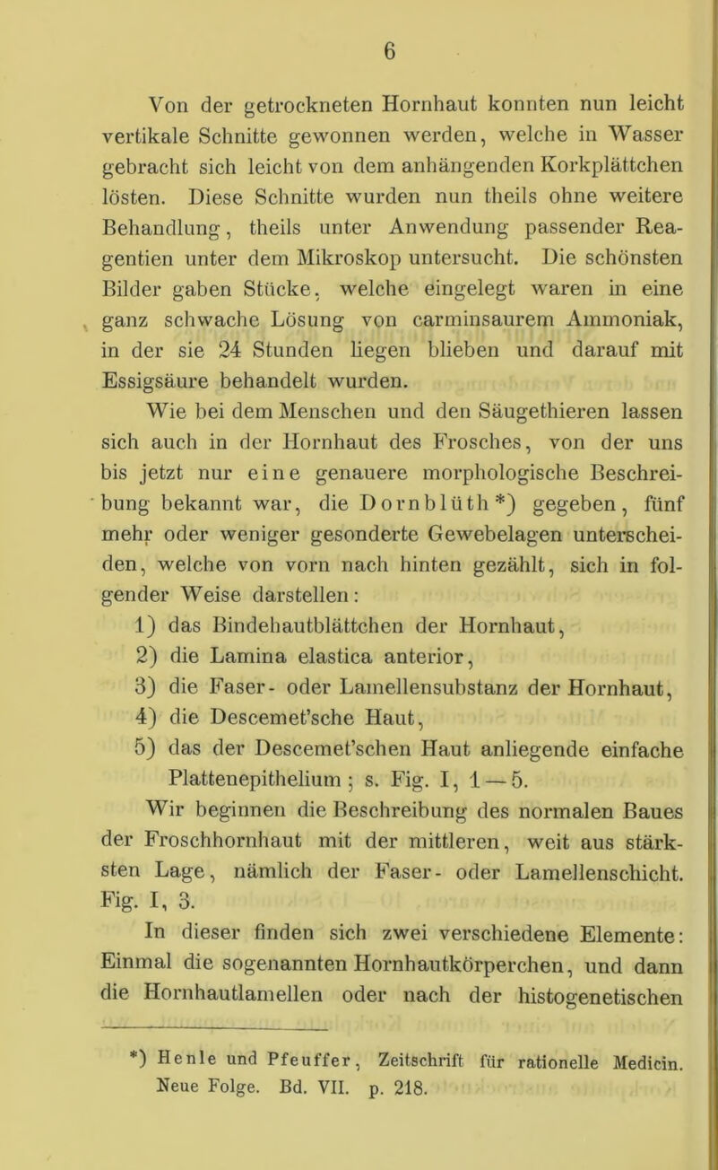 Von der getrockneten Hornhaut konnten nun leicht vertikale Schnitte gewonnen werden, welche in Wasser gebracht sich leicht von dem anhängenden Korkplättchen lösten. Diese Schnitte wurden nun theils ohne weitere Behandlung, theils unter Anwendung passender Rea- gentien unter dem Mikroskop untersucht. Die schönsten Bilder gaben Stücke, welche eingelegt waren in eine ganz schwache Lösung von carminsaurem Ammoniak, in der sie 24 Stunden liegen blieben und darauf mit Essigsäure behandelt wurden. Wie bei dem Menschen und den Säugethieren lassen sich auch in der Hornhaut des Frosches, von der uns bis jetzt nur eine genauere morphologische Beschrei- bung bekannt war, die Dornblüth*) gegeben, fünf mehr oder weniger gesonderte Gewebelagen unterschei- den, welche von vorn nach hinten gezählt, sich in fol- gender Weise darstellen: 1) das Bindehautblättchen der Hornhaut, 2) die Lamina elastica anterior, 3) die Faser- oder Lamellensubstanz der Hornhaut, 4) die Descemet’sche Haut, 5) das der Descemet’schen Haut anliegende einfache Plattenepithelium ; s. Fig. 1, 1 — 5. Wir beginnen die Beschreibung des normalen Baues der Froschhornhaut mit der mittleren, weit aus stärk- sten Lage, nämlich der Faser- oder Lamellenschicht. Fig. I, 3. In dieser finden sich zwei verschiedene Elemente: Einmal die sogenannten Hornhautkörperchen, und dann die Hornhautlamellen oder nach der histogenetischen *) Henle und Pfeuffer, Zeitschrift für rationelle Medicin. Neue Folge. Bd. VII. p. 218.