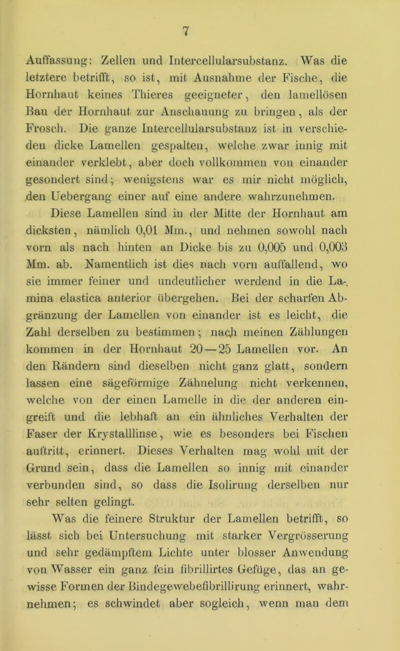 Auffassung: Zellen und Intercellularsubstanz. Was die letztere betrifft, so ist, mit Ausnahme der Fische, die Hornhaut keines Thieres geeigneter, den lavnellösen Bau der Hornhaut zur Anschauung zu bringen, als der Frosch. Die ganze Intercellularsubstanz ist in verschie- den dicke Lamellen gespalten, welche zwar innig mit einander verklebt, aber doch vollkommen von einander gesondert sind; wenigstens war es mir nicht möglich, den Uebergang einer auf eine andere wahrzunehmen. Diese Lamellen sind in der Mitte der Hornhaut am dicksten, nämlich 0,01 Mm., und nehmen sowohl nach vorn als nach hinten an Dicke bis zu 0,005 und 0,003 Mm. ab. Namentlich ist dies nach vorn auffallend, wo sie immer feiner und undeutlicher werdend in die La-, mina elastica anterior übergehen. Bei der scharfen Ab- gränzung der Lamellen von einander ist es leicht, die Zahl derselben zu bestimmen ; nach meinen Zählungen kommen in der Hornhaut 20 — 25 Lamellen vor. An den Rändern sind dieselben nicht ganz glatt, sondern lassen eine sägeförmige Zähnelung nicht verkennen, welche von der einen Lamelle in die der anderen ein- greift und die lebhaft an ein ähnliches Verhalten der Faser der Krystalllinse, wie es besonders bei Fischen auftritt, erinnert. Dieses Verhalten mag wohl mit der Grund sein, dass die Lamellen so innig mit einander verbunden sind, so dass die Isoliruug derselben nur sehr selten gelingt. Was die feinere Struktur der Lamellen betrifft, so lässt sich bei Untersuchung mit starker Vergrösserung und sehr gedämpftem Lichte unter blosser Anwendung von Wasser ein ganz fein fibrillirtes Gefüge, das an ge- wisse Formen der Bindegewebefibrillirung erinnert, wahr- nehmen; es schwindet aber sogleich, wenn man dem