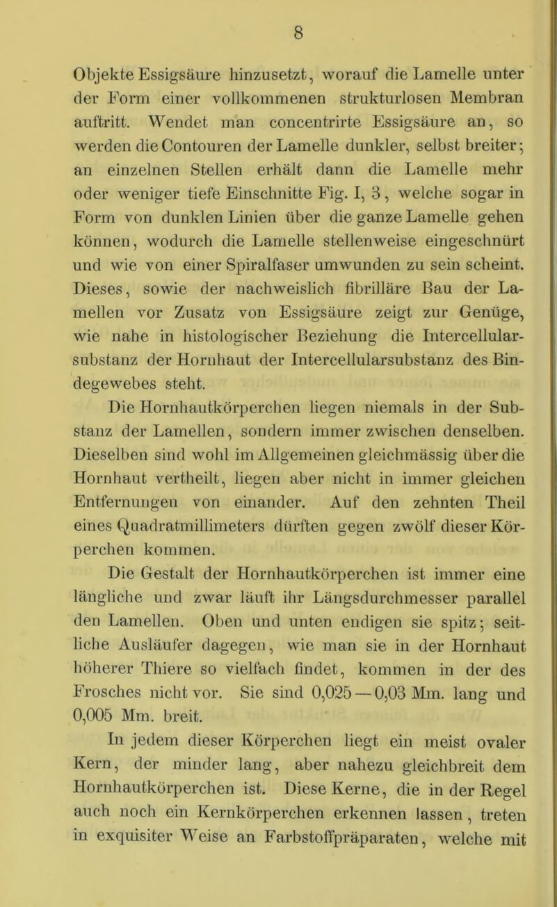 Objekte Essigsäure hinzusetzt, worauf die Lamelle unter der Form einer vollkommenen strukturlosen Membran auftritt. Wendet man concentrirte Essigsäure an, so werden dieContouren der Lamelle dunkler, selbst breiter; an einzelnen Stellen erhält dann die Lamelle mehr oder weniger tiefe Einschnitte Fig. I, 3, welche sogar in Form von dunklen Linien über die ganze Lamelle gehen können, wodurch die Lamelle stellenweise eingeschnürt und wie von einer Spiralfaser umwunden zu sein scheint. Dieses, sowie der nachweislich fibrilläre Bau der La- mellen vor Zusatz von Essigsäure zeigt zur Genüge, wie nahe in histologischer Beziehung die Intercellular- substanz der Hornhaut der Intercellularsubstanz des Bin- degewebes steht. Die Hornhautkörperchen liegen niemals in der Sub- stanz der Lamellen, sondern immer zwischen denselben. Dieselben sind wohl im Allgemeinen gleichmässig über die Hornhaut vertheilt, liegen aber nicht in immer gleichen Entfernungen von einander. Auf den zehnten Theil eines Quadratmillimeters dürften gegen zwölf dieser Kör- perchen kommen. Die Gestalt der Hornhautkörperchen ist immer eine längliche und zwar läuft ihr Längsdurchmesser parallel den Lamellen. Oben und unten endigen sie spitz; seit- liche Ausläufer dagegen, wie man sie in der Hornhaut höherer Thiere so vielfach findet, kommen in der des Frosches nicht vor. Sie sind 0,025 — 0,03 Mm. lang und 0,005 Mm. breit. In jedem dieser Körperchen liegt ein meist ovaler Kern, der minder lang, aber nahezu gleichbreit dem Hornhautkörperchen ist. Diese Kerne, die in der Regel auch noch ein Kernkörperchen erkennen lassen, treten in exquisiter Weise an Farbstoffpräparaten, welche mit