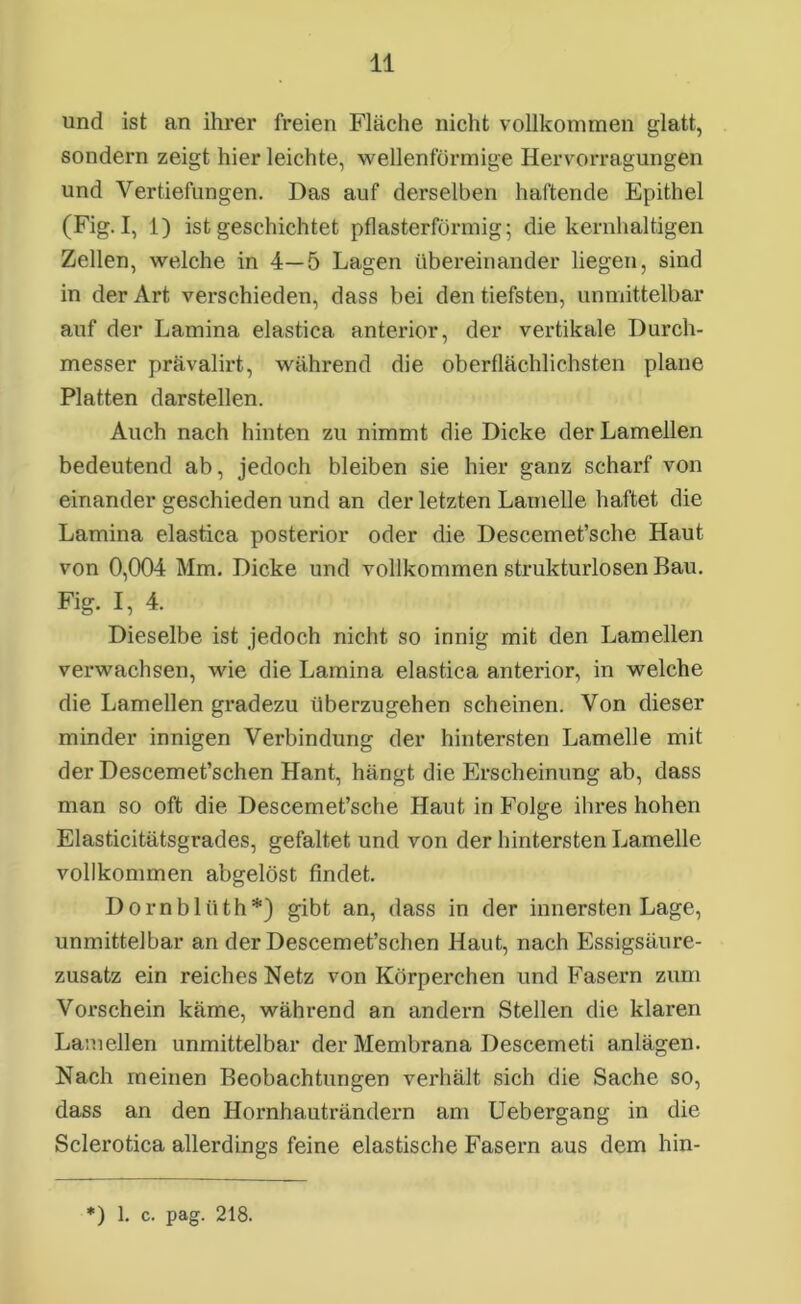 und ist an ihrer freien Fläche nicht vollkommen glatt, sondern zeigt hier leichte, wellenförmige Hervorragungen und Vertiefungen. Das auf derselben haftende Epithel (Fig. I, 1) ist geschichtet pflasterförmig 5 die kernhaltigen Zellen, welche in 4—5 Lagen übereinander liegen, sind in der Art verschieden, dass bei den tiefsten, unmittelbar auf der Lamina elastica anterior, der vertikale Durch- messer prävalirt, während die oberflächlichsten plane Platten darstellen. Auch nach hinten zu nimmt die Dicke der Lamellen bedeutend ab, jedoch bleiben sie hier ganz scharf von einander geschieden und an der letzten Lamelle haftet die Lamina elastica posterior oder die Descemet’sche Haut von 0,004 Mm. Dicke und vollkommen strukturlosen Bau. Fig. I, 4. Dieselbe ist jedoch nicht so innig mit den Lamellen verwachsen, wie die Lamina elastica anterior, in welche die Lamellen gradezu überzugehen scheinen. Von dieser minder innigen Verbindung der hintersten Lamelle mit der Descemet’schen Hant, hängt die Erscheinung ab, dass man so oft die Descemet’sche Haut in Folge ihres hohen Elasticitätsgrades, gefaltet und von der hintersten Lamelle vollkommen abgelöst findet. Dornblüth*) gibt an, dass in der innersten Lage, unmittelbar an der Descemet’schen Haut, nach Essigsäure- zusatz ein reiches Netz von Körperchen und Fasern zum Vorschein käme, während an andern Stellen die klaren Lamellen unmittelbar der Membrana Descemeti anlägen. Nach meinen Beobachtungen verhält sich die Sache so, dass an den Hornhauträndern am Uebergang in die Sclerotica allerdings feine elastische Fasern aus dem hin- *) 1. c. pag. 218.
