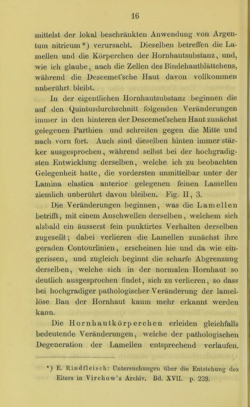 mittelst der lokal beschränkten Anwendung von Argen- tum nitricum *) verursacht. Dieselben betreffen die La- mellen und die Körperchen der Hornhautsubstanz, und, wie ich glaube, auch die Zellen des Bindehautblättchens, während die Descemet’sche Haut davon vollkommen unberührt bleibt. In der eigentlichen Hornhautsubstanz beginnen die auf den Quintusdurchsclmitt folgenden Veränderungen immer in den hinteren der Descemet’schen Haut zunächst gelegenen Partbien und schreiten gegen die Mitte und nach vorn fort. Audi sind dieselben hinten immer stär- ker ausgesprochen, während selbst bei der hochgradig- sten Entwicklung derselben, welche ich zu beobachten Gelegenheit hatte, die vordersten unmittelbar unter der Lamina elastica anterior gelegenen feinen Lamellen ziemlich unberührt davon bleiben. Fig. H, 3. Die Veränderungen beginnen, was die Lamellen betrifft, mit einem Anschwellen derselben, welchem sich alsbald ein äusserst fein punktirtes Verhalten derselben zugesellt; dabei verlieren die Lamellen zunächst ihre geraden Contourlinien, erscheinen hie und da wie ein- gerissen, und zugleich beginnt die scharfe Abgrenzung derselben, welche sich in der normalen Hornhaut so deutlich ausgesprochen findet, sich zu verlieren, so dass bei hochgradiger pathologischer Veränderung der lamel- löse Bau der Hornhaut kaum mehr erkannt werden kann. Die Hornhautkörperchen erleiden gleichfalls bedeutende Veränderungen, welche der pathologischen Degeneration der Lamellen entsprechend verlaufen. *) E. Rindfleisch: Untersuchungen über die Entstehung des Eiters in Vircliow’s Archiv. Ed. XVII. p. 239.