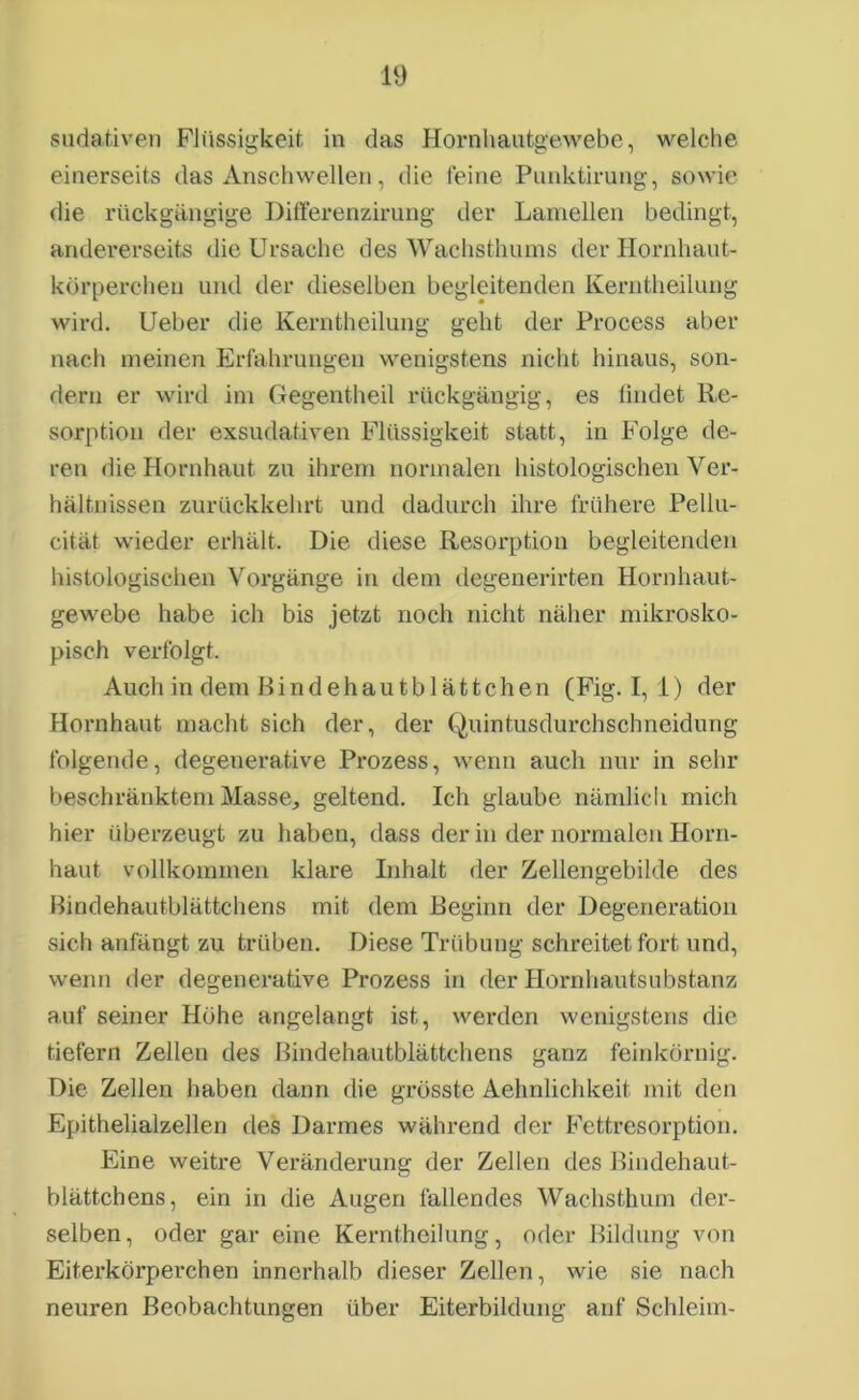 sudativen Flüssigkeit in das Hornhautgewebe, welche einerseits das Anschwellen, die feine Punktirung, sowie die rückgängige Differenzirung der Lamellen bedingt, andererseits die Ursache des Wachsthums der Hornhaut- körperchen und der dieselben begleitenden Kerntheilung wird. Ueber die Kerntheilung geht der Process aber nach meinen Erfahrungen wenigstens nicht hinaus, son- dern er wird im Gegentheil rückgängig, es findet Re- sorption der exsudativen Flüssigkeit statt, in Folge de- ren die Hornhaut zu ihrem normalen histologischen Ver- hältnissen zurückkehrt und dadurch ihre frühere Pellu- cität wieder erhält. Die diese Resorption begleitenden histologischen Vorgänge in dem degenerirten Hornhaut- gewebe habe ich bis jetzt noch nicht näher mikrosko- pisch verfolgt. Auch in dem Bindehautblättchen (Fig. I, 1) der Hornhaut macht sich der, der Quintusdurchschneidung folgende, degenerative Prozess, wenn auch nur in sehr beschränktem Masse, geltend. Ich glaube nämlich mich hier überzeugt zu haben, dass der in der normalen Horn- haut vollkommen klare Inhalt der Zellengebilde des Bindehautblättchens mit dem Beginn der Degeneration sich anfängt zu trüben. Diese Trübung schreitet fort und, wenn der degenerative Prozess in der Hornhautsubstanz auf seiner Höhe angelangt ist, werden wenigstens die tiefem Zellen des Bindehautblättchens ganz feinkörnig. Die Zellen haben dann die grösste Aehnlichkeit mit den Epithelialzellen des Darmes während der Fettresorption. Eine weitre Veränderung der Zellen des Bindehaut- blättchens, ein in die Augen fallendes Wachsthum der- selben, oder gar eine Kerntheilung, oder Bildung von Eiterkörperchen innerhalb dieser Zellen, wie sie nach neuren Beobachtungen über Eiterbildung auf Schleim-
