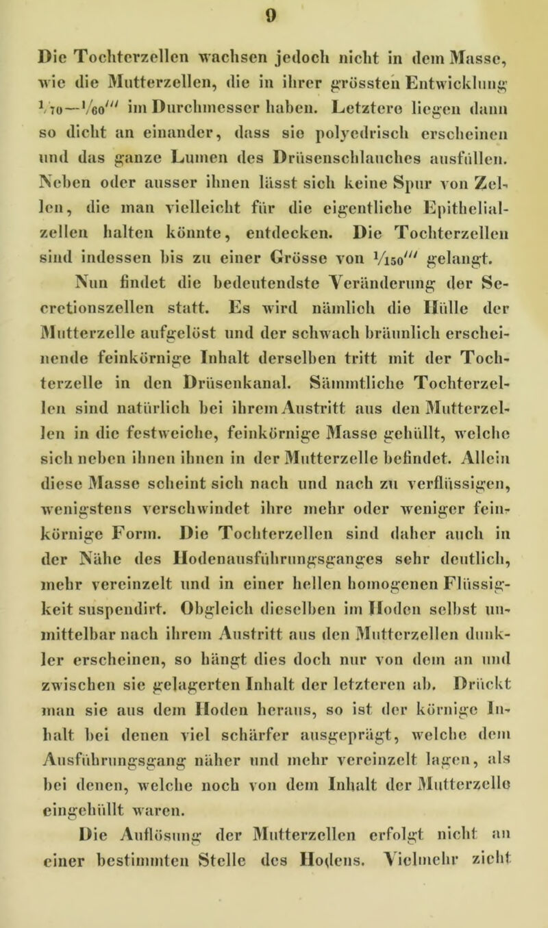 Die Tochterzellen wachsen jedoch nicht in dem Masse, wie die Mntterzellen, die in ihrer grössten Entwicklung Vto—Veo' im Durchmesser haben. Letztere liegen dann so dicht an einander, dass sie polycdrisch erscheinen und das ganze Lumen des Driisenschlauchcs ansfüllen. Neben oder ausser ihnen lässt sich keine Spur von Zel- len, die man vielleicht für die eigentliche Epithelial- zellen halten könnte, entdecken. Die Tochterzellen sind indessen bis zu einer Grösse von VW gelangt. Nun findet die bedeutendste Veränderung der Se- cretionszellen statt. Es wird nämlioh die Hülle der Mutterzelle aufgelöst und der schwach bräunlich erschei- nende feinkörnige Inhalt derselben tritt mit der Toch- terzelle in den Drüsenkanal. Sämmtliche Tochterzel- len sind natürlich hei ihrem Austritt aus den Mutterzel- len in die festweiche, feinkörnige Masse gehüllt, welche sich neben ihnen ihnen in der Mutterzelle befindet. Allein diese Masse scheint sich nach und nach zu verflüssigen, wenigstens verschwindet ihre mehr oder weniger fein- körnige Form. Die Tochterzellen sind daher auch in der Nähe des Ilodenausführungsgangcs sehr deutlich, mehr vereinzelt und in einer hellen homogenen Flüssig- keit suspendirt. Obgleich dieselben im Hoden seihst un- mittelbar nach ihrem Austritt aus den Mutterzellen dunk- ler erscheinen, so hängt dies doch nur von dom an und zwischen sie gelagerten Inhalt der letzteren ah. Drückt man sie aus dem Hoden heraus, so ist der körnige In- halt hei denen viel schärfer ausgeprägt, welche dem Ausführungsgang näher und mehr vereinzelt lagen, als bei denen, welche noch von dem Inhalt der Mutterzclle eingehüllt waren. Die Auflösung der Mutterzellen erfolgt nicht an einer bestimmten Stelle des Hodens. Vielmehr zieht