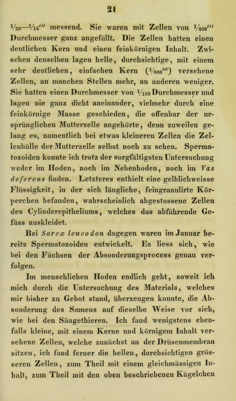 V20—Vis' messend. Sic waren mit Zellen von VW Durchmesser ganz angefüllt. Die Zellen hatten einen deutlichen Kern und einen feinkörnigen Inhalt. Zwi- schen denselben lagen helle, durchsichtige, mit einem sehr deutlichen, einfachen Kern (VW) versehene Zellen, an manchen Stellen mehr, an anderen weniger. Sie hatten einen Durchmesser von V150 Durchmesser und lagen nie ganz dicht aneinander, vielmehr durch eine feinkörnige Masse geschieden, die offenbar der ur- sprünglichen Muttcrzelle angehörte, denn zuweilen ge- lang es, namentlich bei etwas kleineren Zellen die Zel- lenhülle der Mutterzelle selbst noch zu sehen. Sperrna- tozoiden konnte ich trotz der sorgfältigsten Untersuchung weder im Hoden, noch im Nebenhoden, noch im Fas deferens finden. Letzteres enthielt eine gelblichweisse Flüssigkeit, in der sich längliche, feingranulirte Kör- perchen befanden, wahrscheinlich abgestossene Zellen des Cylinderepitheliums, welches das abführende Ge- fäss auskleidet. Bei Sorex leucodon dagegen waren im Januar be- reits Spermatozoiden entwickelt. Es liess sich, wie bei den Füchsen der Absondcrungsprocess genau ver- folgen. Im menschlichen Hoden endlich geht, soweit ich mich durch die Untersuchung des Materials, welches mir bisher zu Gebot stund, überzeugen konnte, die Ab- sonderung des Samens auf dieselbe Weise vor sich, wie bei den Säugethiercn. Ich fand wenigstens eben- falls kleine, mit einem Kerne und körnigem Inhalt ver- sehene Zellen, welche zunächst an der Drüsenmembran sitzen, ich fand ferner die hellen, durchsichtigen grös- seren Zellen, zum Theil mit einem glcichmässigen In- halt, zum Theil mit den oben beschriebenen Kügelchen