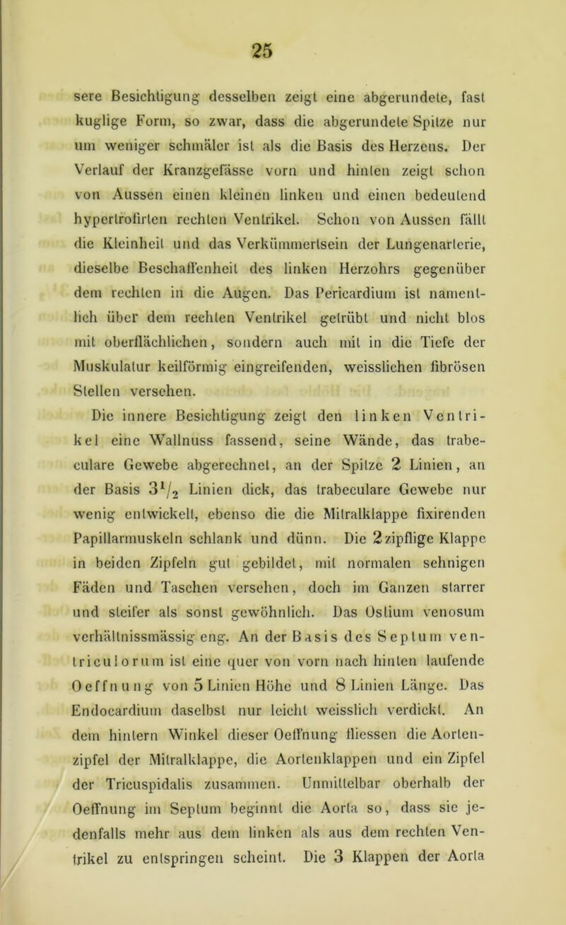 sere Besichtigung desselben zeigt eine abgerundete, fast kuglige Form, so zwar, dass die abgerundete Spitze nur um weniger schmäler ist als die Basis des Herzens. Der Verlauf der Kranzgefässe vorn und hinten zeigt schon von Aussen einen kleinen linken und einen bedeutend hyperlrolirlen rechten Ventrikel. Schon von Aussen fällt die Kleinheit und das Verkümmerlsein der Lungenarlcrie, dieselbe Beschaffenheit des linken Herzohrs gegenüber dem rechten in die Augen. Das Pericardium ist nament- lich über dem rechten Ventrikel getrübt und nicht blos mit oberflächlichen, sondern auch mit in die Tiefe der Muskulatur keilförmig eingreifenden, weisslichen fibrösen Stellen versehen. Die innere Besichtigung zeigt den linken Ventri- kel eine Wallnuss fassend, seine Wände, das trabe- culare Gewebe abgerechnet, an der Spitze 2 Linien, an der Basis 31/2 Linien dick, das trabecularc Gewebe nur wenig entwickelt, ebenso die die Mitralklappe fixirenden Papillarmuskeln schlank und dünn. Die 2zipflige Klappe in beiden Zipfeln gut gebildet, mit normalen sehnigen Fäden und Taschen versehen, doch im Ganzen starrer und steifer als sonst gewöhnlich. Das Ostium venosum verhältnissmässig eng. An der Basis des Septum ven- trieuiorum ist eine quer von vorn nach hinten laufende Oeffnung von 5 Linien Höhe und 8 Linien Länge. Das Endocardium daselbst nur leicht weisslich verdickt. An dem hinlern Winkel dieser Ocll'nung fliessen die Aorlcn- zipfcl der Mitralklappe, die Aortenklappen und ein Zipfel der Tricuspidalis zusammen. Unmittelbar oberhalb der Oeffnung im Septum beginnt die Aorta so, dass sic je- denfalls mehr aus dem linken als aus dem rechten Ven- trikel zu entspringen scheint. Die 3 Klappen der Aorta