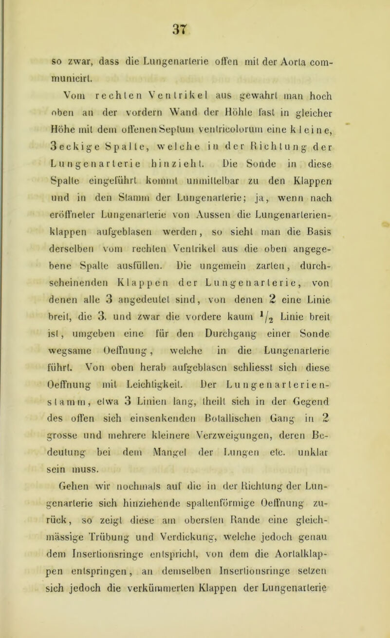 so zwar, dass die Lungenarlerie offen mit der Aorla com- niunicirt. Vom rechten Ventrikel aus gewahrt inan hoch oben an der vordem Wand der Höhle last in gleicher Höhe mit dem offenen Septum venlrioolorum eine kleine, 3 eckige Spalte, welche in der Richtung der Lungenarlerie hin zieht. Die Sonde in diese Spalte eingeführt kommt unmittelbar zu den Klappen und in den Stamm der Lungenarlerie; ja, wenn nach eröffneier Lungenarlerie von Aussen die Lungenarlerien- klappen aufgeblasen werden, so sieht man die Basis derselben vom rechten Ventrikel aus die oben angege- bene Spalte ausfüllen. Die ungemein zarten, durch- scheinenden Klappen der Lungenarlerie, von denen alle 3 angedeulcl sind, von denen 2 eine Linie breit, die 3. und zwar die vordere kaum 1/2 Linie breit ist, umgeben eine für den Durchgang einer Sonde wegsame Oeffnung, welche in die Lungenarlerie führt. Von oben herab aufgeblasen schliesst sich diese Oeffnung mit Leichtigkeit. Der Lungenarterien- stamm, etwa 3 Linien lang, (heilt sich in der Gegend des offen sich einsenkenden Botanischen Gang in 2 grosse und mehrere kleinere Verzweigungen, deren Be- deutung bei dem Mangel der Lungen etc. unklar sein muss. Gehen wir nochmals auf die in der Richtung der Lun- gcnarlerie sich hinziehende spallenfürmigc Oeffnung zu- rück , so zeigt diese ain obersten Rande eine gleich- massige Trübung und Verdickung, welche jedoch genau dem Inserlionsringe entspricht, von dem die Aorlalklap- pen entspringen, au demselben Insertionsringe setzen sich jedoch die verkümmerten Klappen der Lungenarterie