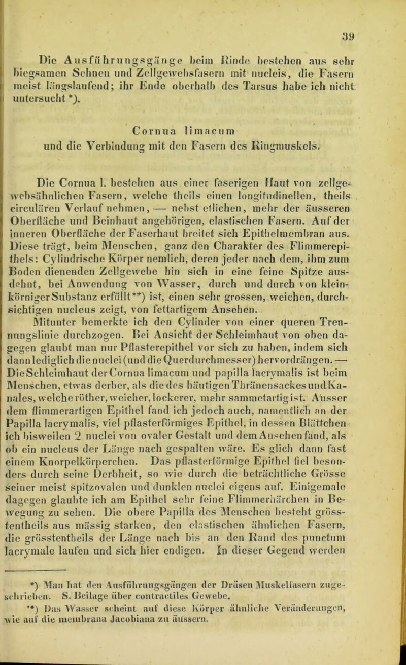 Die Aiisfii Firungsg;ingo liciin Dinde bestehen aus sehr i biegsamen Sclincn und ZelIgcweI).srasorn mit nucicis, die Fasern I meist längslaufend; ihr Endo nherhali) dos Tarsus habe ich nicht I untersucht *). I C o r n u a I i m a c u m und die Verbindung mit den Fasern des Kingmuskols. Die Cornua I. bestehen aus einer faserigen Haut von zellge- wehsähnlichen Fasern, welche theils einen longitiidinellen, theils eireuUiren Verlauf nehmen,— nebst etlichen, mehr der äusseren Oherüäche und Beinhaut angehörigen, elastischen Fasern. Auf der inneren Oberfläche der Faserhaut breitet sich Epitbclmembran aus. Diese trägt, heim IMenschcn, ganz den Charakter des Flimmerepi- thels: Cylindrische Körper nemlich, deren jeder nach dem, ihm zum Boden dienenden Zellgewebe hin sich in eine feine Spitze aus- dehnt, bei Anwendung von Wasser, durch und durch von klein- körniger Substanz erfüllt**) ist, einen sehr grossen, weichen, durch- sichtigen nucleus zeigt, von fettartigem Ansehen. Mitunter bemerkte ich den Cylinder von einer queren Tren- nungslinie durchzogen. Bel Ansicht der Schleimhaut von oben da- gegen glaubt man nur Pflastercpithel vor sich zu haben, indem sich dann lediglich die nuclei (und dietjuerdurchmesser) hervordrängen. — DicSchlelmhaut derCoinua limacum und papilla lacrymaüs ist heim IMcnschen, etwas derber, als die des häutigen Thränensackes und Ka- nales, welche röther, weicher, lockerer, mehr sammetartigist. Ausser dem flimmerartigen Epithel fand ich jedoch auch, nanienflieh an der Papilla lacrymalis, viel pllasterrörmiges Epithel, in dessen Blättchen ich l)iswoilen 2 nuclei von ovaler Gestalt und dem Ansehen fand, als oh ein nucleus der Länge nach gespalten wäre. Es glich dann fast einem Knorpelkörpcrchen. Das pflasterlörmigo E|»ifhel fiel beson- ders durch seine Derbheit, so wie durch die beträchtliche Grösse seiner meist spitzovalen und dunklen nuclei eigens auf. Einigemale dagegen glaubte ich am Epithel sehr feine Flimmcrhärchen in Be- w’egung zu sehen. Die obere Papilla des Menschen besteht giöss- tentheils aus ntässig starken, den elastischen ähnlichen Fasern, die grösstentheils der Länge nach bis an den Rand des punctum lacrymale laufen und sich hier endigen. In dieser Gegend werden •) iMan bat den Ausfiibrungsgängpn der Drüsen Muskellasern zuge- scbiiebeii. S. Heilagc über eouUaeliles GcMebe. ’•) Das Wasser st lieint auf diese Kör[)er älmllelie Veränderungen, Avie auf die mciiibraaa Jacubiaua zu äussern.