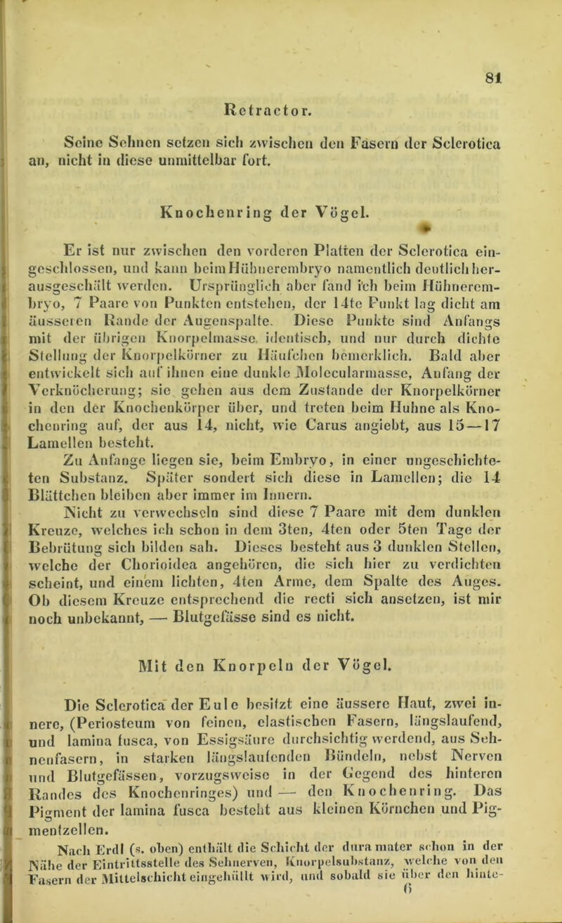 Rctractor. I Seine Sehnen setzen sich zwischen den Fasern der Sclcrotica I an, nicht in diese unmittelbar fort. Knochenring der Vögel. ♦ Er ist nur zwischen den vorderen Platten der Sclerotica ein- , geschlossen, und kann l)cimHü!)ncrembryo namentlich deutlich her- ausgeschält werden. Ursprünglich aber fand i'ch beim Hühnerem- hryo, 7 Paare von Punkten entstehen, der 14te Punkt lag dicht am äusseren Rande der Augenspalte. Diese Punkte sind Anfangs ' mit der ül)rigeu Knorpelmasse, idctitisch, und nur durch dichte I Stellung der Knorpelkörner zu Häufchen bemerklich. Bald aber . entwickelt sich auf ilincn eine dunkle JMolecularmasse, Anfang der Verknöcherung; sie gehen aus dem Zustande der Knorpelkörner in den der Knociienkörpcr über, und treten beim Huhne als Kno- . chenring auf, der aus 14, nicht, wie Carus angiebt, aus 15 —17 I Lamellen besteht. Zu Anfänge liegen sie, beim Embryo, in einer ungeschichto- ten Substanz, Später sondert sich diese in Lamellen; die 14 Blättchen bleiben aber immer im Innern. Nicht zu verwechseln sind diese 7 Paare mit dem dunklen ! Kreuze, welches ich schon in dem 3ten, 4tcn oder 5ten Tage der ! Bebrütung sich bilden sab. Dieses besteht aus 3 dunklen Stellen, I welche der Chorioidea angehören, die sich hier zu verdichten I scheint, und einem lichten, 4ten Arme, dem Spalte des Auges. I Ob diesem Kreuze entsprechend die recti sich ansetzen, ist mir I noch unbekannt, — Blutgefässe sind es nicht. Mit den Knorpeln der Vögel. Die Scleroticader Eule besitzt eine äussere Haut, zwei in- I nere, (Periostcum von feinen, elastischen Fasern, längslaufend, und lamina tusca, von Essigsäure durchsichtig werdend, aus Seh- nenfasern, in starken längslaulcndcn Bündeln, nehst Nerven und Blutgefässen, vorzugsweise in der Hegend des hinteren Randes des Knochenringes) und— den Knochenring. Das Pi^rment der lamina fusca besteht aus kleinen Körnchen und Pig- _ menfzelleii. Nacli ErdI (s. oben) enlliält die Sclücht der duraniater schon in der Nähe der Eintrittsstelle des Sehnerven, Knoi i)elsnl)stan7,, welche von den Fa.sern der ftlittelscliicht eingeliüllt n ird, und sobald sie niicr den Iiinto- 0