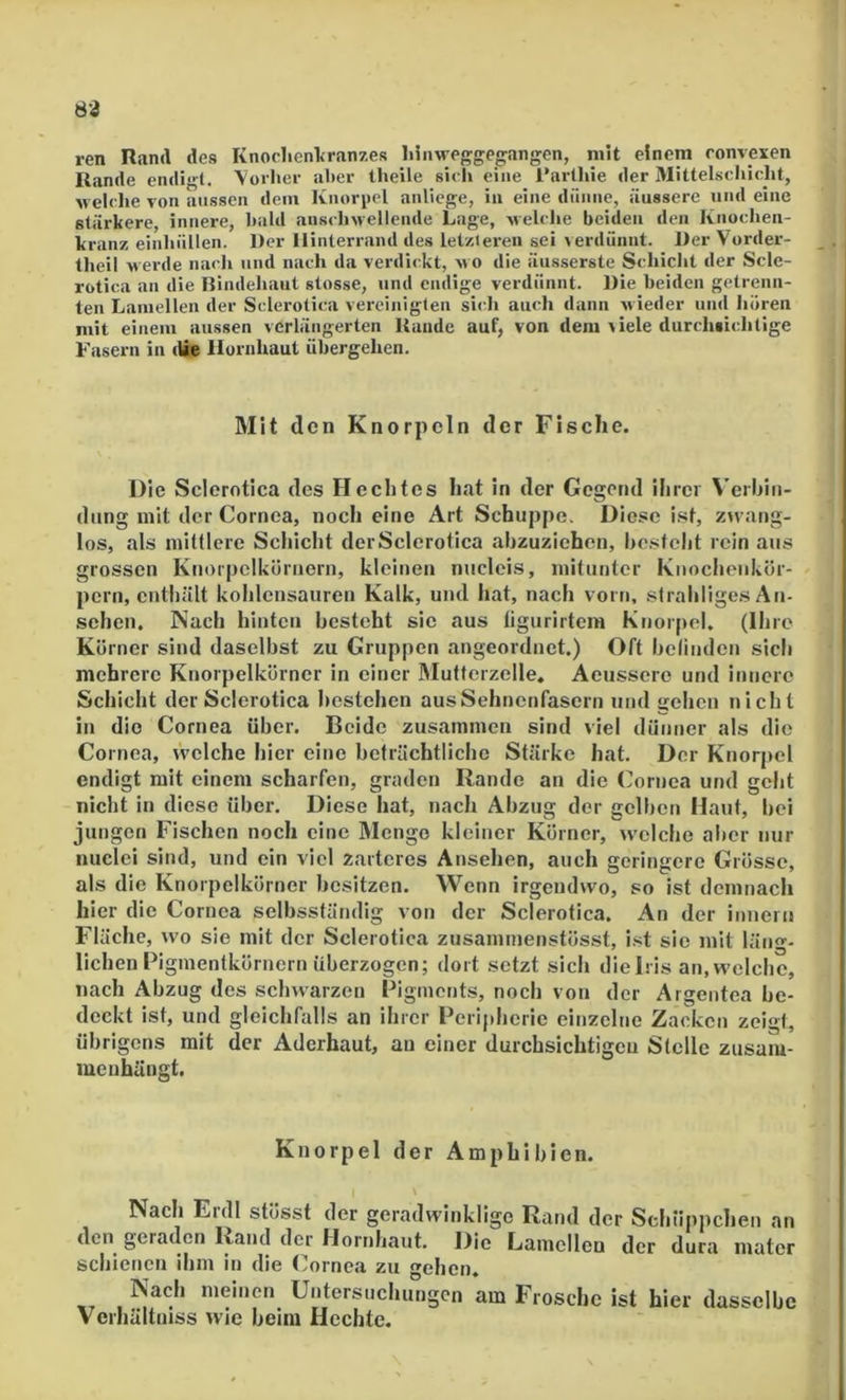 ren Rand des KnoclicnVranzes liinweggegaiigen, mit einem convexen Rande endigt, \oi her al)cr llieile sicli eine l'arllile der Mittelsdiiclit, Mclche von aussen dem Knorpel anliege, in eine diiiiiie, äussere und eine stärkere, innere, bald anscliwellende Lage, Melelie beiden den Kiioclien- kranz einhüllen. Der Ilinterraml des letzteren sei verdünnt. Der Vorder- tlieil M eide naeli und nach da verdickt, m o die äusserste Schicht der Scle- rotica an die Bindehaut stosse, und endige verdünnt. Die beiden getrenn- ten Lamellen der Sclerotica vereinigten si«di auch dann Mieder und hören mit einem aussen verlängerten Rande auf, von dem viele durchsichtige Fasern in die Hornhaut übergehen. Mit den Knorpeln der Fische. Die Sclerotica des FI echtes hat in der Gegend ihrer Verhin- diing mit der Cornea, noch eine Art Schuppe. Diese i.st, zwang- los, als miUlere Schicht der Sclerotica ahzuziehen, besteht rein aus grossen Knoipclkörnern, kleinen nuclcis, mitunter Knochenkür- pern, enthält kohlcnsauren Kalk, und hat, nach vorn, slrahlige.s An- sehen. Nach hinten besteht sic aus ligurirtera Knorpel. (Ihre Körner sind daselbst zu Gruppen angeordnet.) Oft belinden sich mehrere Knorpelkörner in einer Mutfcrzelle, Acusscre und innere Schicht der Sclerotica bestehen aus Sehnenfasern und gehen nicht in die Cornea über. Beide zusammen sind viel dünner als die Cornea, welche hier eine beträchtliche Stärke hat. Der Knorpel endigt mit einem scharfen, graden Rande an die Cornea und geht nicht in diese über. Diese hat, nach Abzug der gelben Haut, bei jungen Fischen noch eine Menge kleiner Körner, welche aber nur nuclei sind, und ein viel zarteres Ansehen, auch geringere Grösse, als die Knorpelkörner besitzen. Wenn irgendwo, so ist demnach hier die Cornea selbsständig von der Sclerotica. An der innern Fläche, wo sie mit der Sclerotica zusammenstösst, ist sie mit läng- lichen Pigmentkörnern überzogen; dort setzt sich dielris an,welche, nach Abzug des schwarzen Pigments, noch von der Argentea be- deckt ist, und gleichfalls an ihrer Peripherie einzelne Zacken zeigt, übrigens mit der Aderhaut, an einer durchsichtigeu Stelle zusaiu- luenhängt. Knorpel der Amphibien. \ Nach Ei dl stösst der geradwinklige Rand der Schüppchen an den^ geraden Rand der Flornhaut. Die Lamellen der dura matcr schienen ihm in die (Cornea zu gehen. Nach meinen Untersuchungen am Frosche ist hier dasselbe Verhältniss wie beim Hechte.