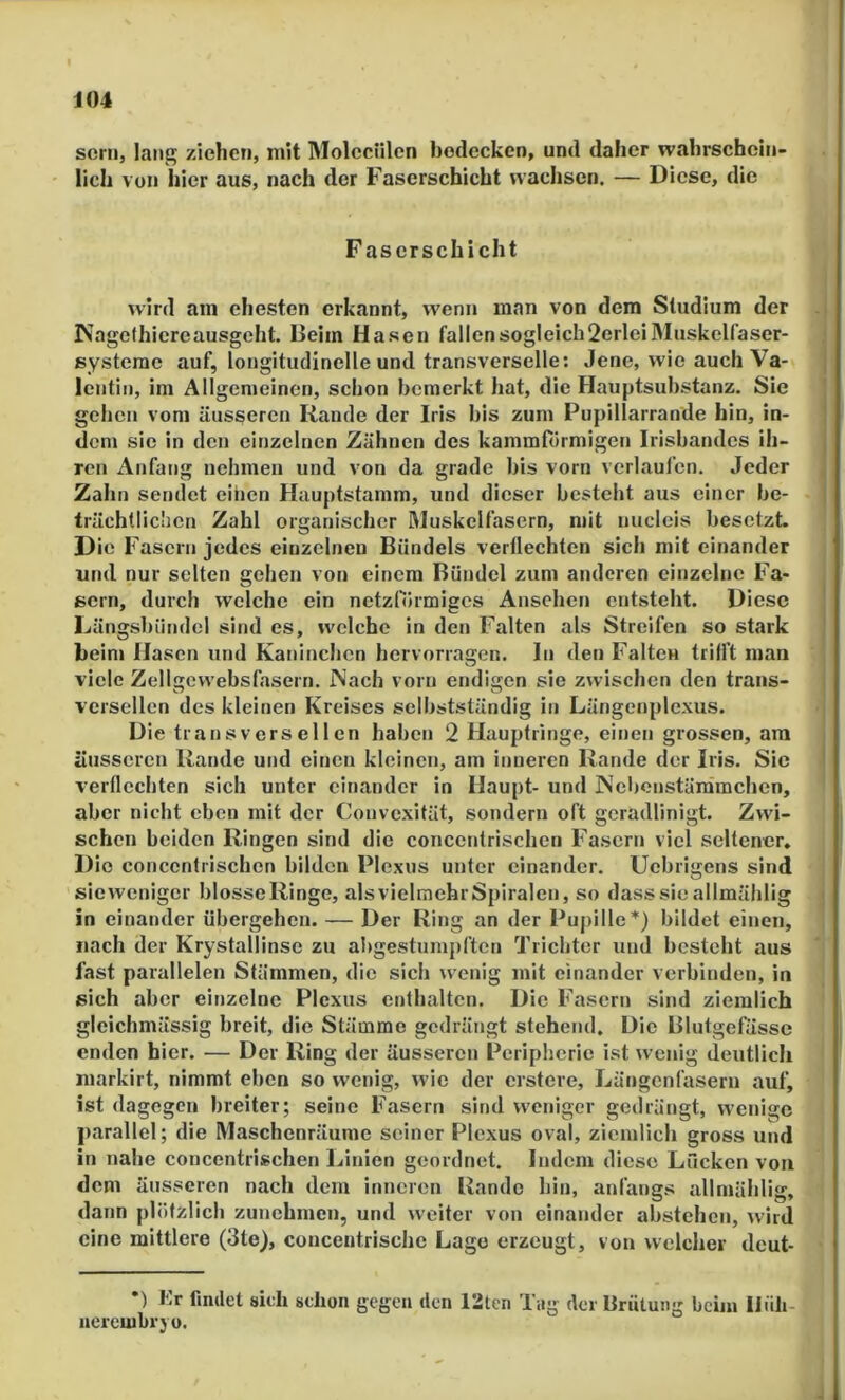 serii, lang ziehen, mit IMoleciilen bedecken, und daher wahrschein- lich von hier aus, nach der Faserschicht waclisen. — Diese, die F ascrschicht wird am ehesten erkannt, wenn man von dem Studium der Kagclhicreausgeht. Beim Hasen fallen sogleich 2erleiMuskelfaser- systerac auf, longitudinelle und transverselle: Jene, wie auch Va- lentin, im Allgemeinen, schon bemerkt hat, die Hauptsuhstanz. Sie gehen vom äusseren Rande der Iris bis zum Pupillarrande hin, in- dem sie in den einzelnen Zähnen des kammförmigen Irisbandes ih- ren Anfang nehmen und von da grade bis vorn verlauicn. Jeder Zahn sendet eiiien Hauptstamm, und dieser besteht aus einer be- trächtlichen Zahl organischer Muskelfasern, mit nucleis besetzt. Die Fasern jedes einzelnen Bündels verflechten sich mit einander und nur selten gehen von einem Bündel zum anderen einzelne Fa- eern, durch welche ein netzförmiges Anscheti entsteht. Diese Längsbiindel sind es, welche in den Falten als Streifen so stark beim Hasen und Kaninchen hervorragen. In den Falten trifft man viele Zellgcwebsfasern. JNach vorn endigen sie zwischen den trans- versellen des kleinen Kreises selbstständig in Längenplcxus. Die transversellen haben 2 Häuptlinge, einen grossen, am äusseren Rande und einen kleinen, am inneren Rande der Iris. Sie verflechten sich unter einander in Haupt- und ]Nel)enstämrachen, aber nicht eben mit der Convexität, sondern oft geradlinigt. Zwi- schen beiden Ringen sind die concentrischcn Fasern viel seltener. Die concentrischen bilden Plexus unter einander. Uebrigens sind sie weniger blosse Ringe, als vielmehr Spiralen, so dass sie allmählig in einander übergehen. — Der Ring an der Puj)ille*) bildet einen, nach der Krystallinsc zu abgestumpften Trichter und besteht aus fast parallelen Stämmen, die sich wenig mit einander verbinden, in sich aber einzelne Plexus enthalten. Die Fasern sind ziemlich gleichmässig breit, die Stämme gedrängt stehend. Die Blutgefässe enden hier. — Der Ring der äusseren Peripherie ist wenig deutlich markirt, nimmt eben so wenig, wie der ersfere, Lüngenfasern auf, ist dagegen breiter; seine Fasern sind w'eniger gedrängt, wenige parallel; die Maschenräume seiner Plexus oval, ziemlich gross und in nahe concentrischen Linien geordnet. Indem diese Lücken von dem äusseren nach dem inneren Rande hin, anfangs allmählig, dann plötzlich zunehmen, und weiter von einander abstehen, wird eine mittlere (3te), concentrische Lago erzeugt, von welcher deut- •) Kr findet sich schon gegen den 12ten Tag der Urütung beim Ilüh- nerembrjo.
