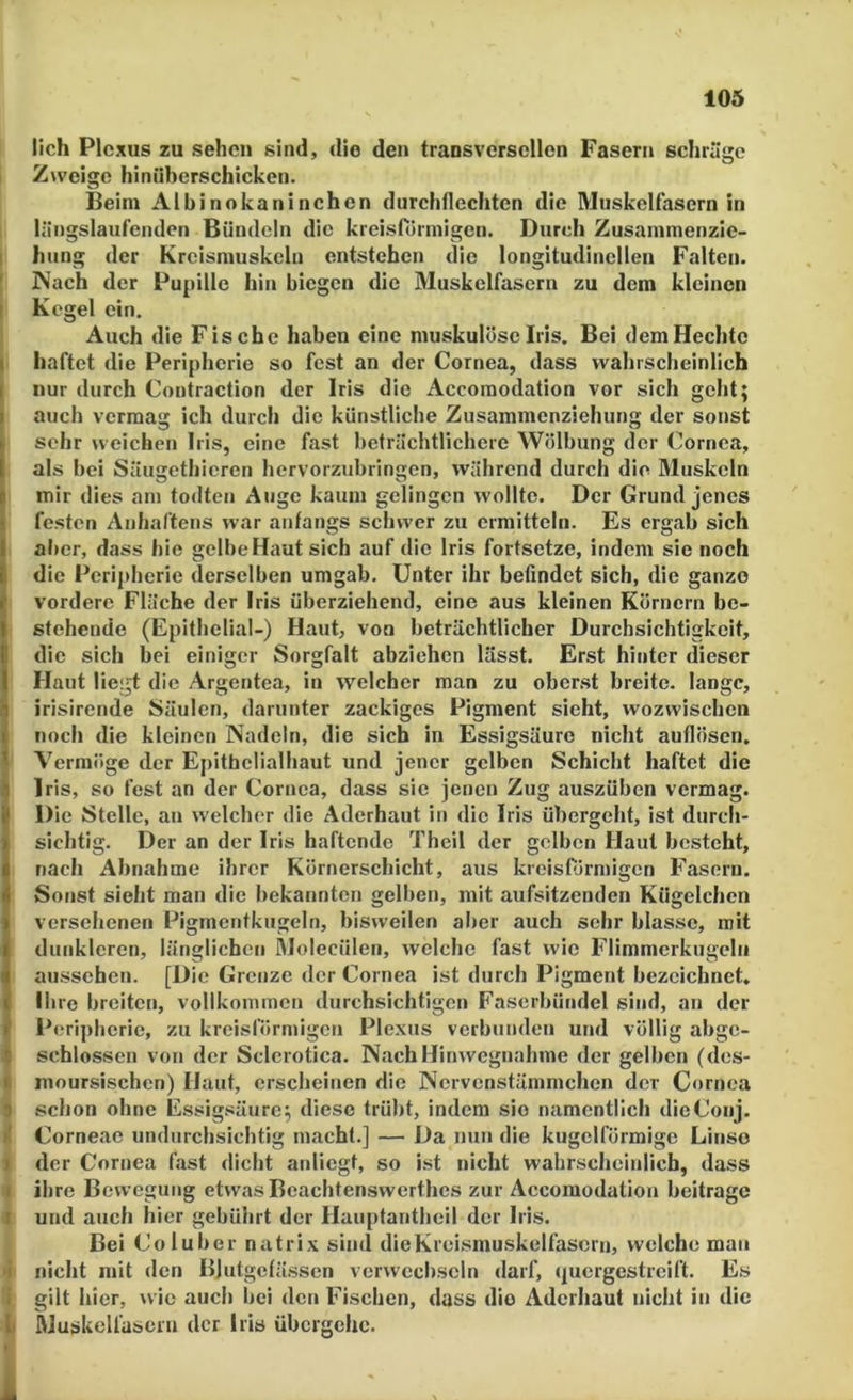 lieh Plexus zu sehen sind, die den transversellen Fasern schräge Zweige hiniiherschicken. Beim Albinokaninchcn durchflechten die Muskelfasern in längslaufcndcn Bündeln die kreisrormigen. Durch Zusanimenzic- I Illing der Kreisniuskclu entstehen die longitudincllen Falten. ' Nach der Pupille hin biegen die Muskelfasern zu dem kleinen I Kegel ein. Auch die Fische haben eine muskulöse Iris. Bei dem Hechte I haftet die Peripherie so fest an der Cornea, dass wahrscheinlich I nur durch Coutraction der Iris die Accoraodation vor sich geht; auch vermag ich durch die künstliche Zusammenziehung der sonst sehr weichen Iris, eine fast beträchtlichere Wölbung der Cornea, als bei Säugethicren hervorziibringen, während durch die Muskeln mir dies am todteii Auge kaum gelingen wollte. Der Grund jenes •. festen Anliaftens war anfangs schwer zu ermitteln. Es ergab sich i aber, dass hie gelbe Haut sich auf die Iris fortsetze, indem sie noch Idie Peripherie derselben umgab. Unter ihr befindet sich, die ganze vordere Fläche der Irls überziehend, eine aus kleinen Körnern be- stehende (Epithelial-) Haut, von beträchtlicher Durchsichtigkeit, die sich bei einiger Sorgfalt abziehen lasst. Erst hinter dieser Haut liegt die Argentea, in welcher man zu oberst breite, lange, irisirende Säulen, darunter zackiges Pigment sieht, wozwischen noch die kleinen Nadeln, die sich in Essigsäure nicht auflösen. Vermöge der Epitbclialliaut und jener gelben Schicht haftet die Iris, so fest an der Cornea, dass sie jenen Zug auszüben vermag. Die Stelle, an welcher die Aderhaut in die Iris übergeht, ist durcli- sichtig. Der an der Iris haftende Theil der gelben Haut besteht, nach Abnahme ihrer Körnerschicht, aus kreisförmigen Fasern. Sonst sieht man die bekannten gelben, mit aufsitzenden Kügelchen versehenen Pigmentkugeln, bisweilen aber auch sehr blasse, mit dunkleren, länglichen Molecülen, welche fast wie Flimmerkugcln aussehen. [Die Grenze der Cornea ist durch Pigment bezeichnet, Ihre breiten, vollkommen durchsichtigen Faserbündel sind, an der l*eri])berie, zu kreisförmigen Plexus verbunden und völlig abge- i schlossen von der Sclerotica. Nach Hinwegnahme der gelben (des- I moursischen) Haut, erscheinen die Nervcnstämmchen der Cornea 9 schon ohne Essigsäure^ diese trübt, indem sie namentlich dieConj. |{ Corneae undurchsichtig macht.] — Da nun die kugelförmige Linso I der Cornea fast dicht ardiegt, so ist nicht wahrsclieiidicb, dass I ihre Bewegung etwas Beachtensvverthes zur Accoraodation beitrage I und auch hier gebülirt der Hauptantbeil der Iris. Bei Coluber natrix sind dieKreismuskelfascrn, welche man ‘i nicht mit den Blutgefässen vcrwccbscln darf, ipiergestrcift. Es i gilt hier, wie auch hei den Fischen, dass dio Aderhaut nicht in die L Muskelfasern der Iris übergehe. 9 k