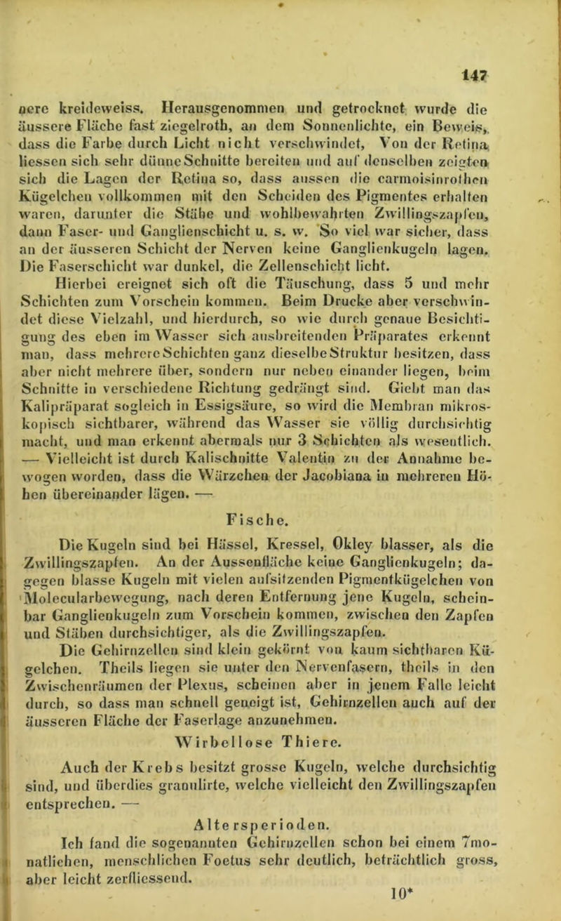 aerc kreideweiss. Herausgenomnien und getrocknet wurde die äussere Fläche fast ziegelroth, an dem Sonnenlichte, ein Beweis,, dass die Farbe durch Licht nicht verschwindet, Von der RetinOi liesscn sich sehr dünncSchnitte bereiten und auf denselben zeicten. sich die Lagen der Retina so, dass aussen die carmoisiiirothcn Kügelchen vollkommen mit den Scheiden des Pigmentes erhalten waren, darunter die Stäbe und wohlbewahrten Zwillingszaiifen, dann Faser- und Ganglienscbicht u. s. w. So viel war sicher, dass an der äusseren Schicht der Nerven keine Ganglienkugeln lagen. Die Faserschicht war dunkel, die Zellenschicht licht. Hierbei ereignet sich oft die Täuschung, dass 5 und mehr Schichten zum Vorschein kommen. Beim Drucke aber verschwin- det diese Vielzahl, und hierdurch, so wie durch genaue Besichti- gung des eben im Wasser sich ansbreitenden Präparates erkennt man, dass mchrercSchichten ganz dieselbeStruktur besitzen, dass aber nicht mehrere iilrer, sondern nur neben einander liegen, lieim Schnitte in verschiedene Richtung gedrängt sind. Giebt man das Kalipräparat sogleich in Essigsäure, so wird die Membran mikros- kopisch sichtbarer, während das W asser sie völlig durchsichtig macht, und man erkennt abermals nur 3 Schichten als wesentlich, ( — Vielleicht ist durch Kalischnitte Valentin zu der Annahme be- wegen worden, dass die Wärzchen der Jacobiana in mehreren Hö- hen übereinander lägen. •— Fische. Die Kugeln sind bei Hässel, Kressei, Okley blasser, als die Zwillingszapten. An der Aussenfläche keine Ganglienkugeln; da- gegen blasse Kugeln mit vielen aufsifzenden Pigmentkügelchen von 'Molecularbewcgung, nach deren Entfernung jene Kugeln, schein- bar Ganglienkugeln zum Vorschein kommen, zwischen den Zapfen und Stäben durchsichtiger, als die Zwillingszapfen. Die Gehirnzellen sind klein gekörnt von kaum sichtbaren Kü- gelchen. Theils liegen sie unter den Nervenfasern, thoils in den Zwischenräumen der Plexus, scheinen aber in jenem Falle leicht durch, so dass man schnell geneigt ist, Gehirnzellen auch auf der äusseren Fläche der Faserlage anzunehmen. , Wirbellose T hie re. Auch der Krebs besitzt grosse Kugeln, welche durchsichtig l| sind, und überdies granulirte, welche vielleicht den Zwillingszapfen ( entsprechen. — Alte rs pari öden. Ich fand die sogenannten Gehirnzellen schon bei einem 7mo- i natlichen, menschlichen Foetus sehr deutlich, beträchtlich gross, t) aber leicht zerflicssend. 10*