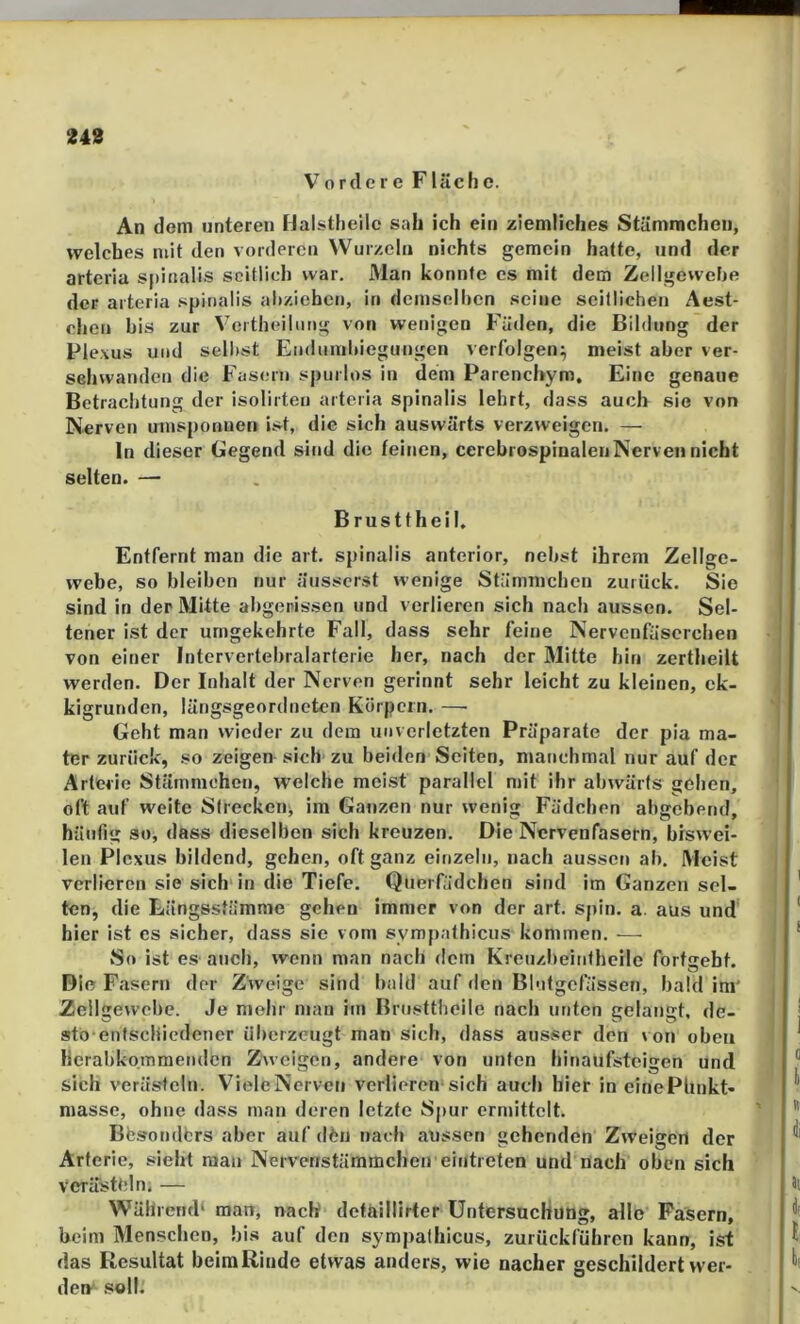 Vordere Fläcfic. An dem unteren Halstheilc soll ich ein ziemliches Stämmcheii, welches mit den vorderen Wurzeln nichts gemein hatte, und der arteria spiiialis seitlich war. Man konnte cs mit dem ZellgeweFje der arteria spinalis al)ziebcn, in dcmsellicn seine seitlichen Aest- chen bis zur Vertheiliing von wenigen Füllen, die Bildung der Plexus und selltst En<lnnibiegungen verfolgen; meist aber ver- sehwanden die Fasern spurlos in dem Parenchym. Eine genaue Betrachtung der isolirten arteria spinalis lehrt, dass auch sie von Nerven umsponnen ist, die sich auswärts verzweigen. — ln dieser Gegend sind die feinen, cerebrospinalen Nerven nicht selten. — Brusttheil, Entfernt man die art. spinalis anterior, nebst ihrem Zellge- webe, so bleiben nur üusserst wenige Stümmchen zurück. Sie sind in der Mitte abgerissen und verlieren sich nach aussen. Sel- tener ist der umgekehrte Fall, dass sehr feine Nervenfascrchen von einer Intervertebralarterie her, nach der Mitte hin zcrtheilt werden. Der Inhalt der Nerven gerinnt sehr leicht zu kleinen, ck- kigrunden, längsgeordneten Körpern. —• Geht man wieder zu dem unverletzten Präparate der pia ma- ter zurück, so zeigen sich zu beiden Seiten, manchmal nur auf der Arterie Stämmchen, welche meist parallel mit ihr abwärts gehen, oft auf weite Sfreckctij im Ganzen nur wenig Fädchen abgebend, häufig so, dass dieselben sich kreuzen. Die Nervenfasern, biswei- len Plexus bildend, gehen, oft ganz eitizeln, nach aussen ab. Meist verlieren sie sich in die Tiefe. Querfädchen sind im Ganzen sel- ten, die Längsstämme gehen immer von der art. spin. a. aus und hier ist es sicher, dass sie vom sympathicus kommen. — So ist es auch, wenn man nach dem Kreuzbeintheile fortgebt. Die F.asern der Zweige sind bald auf den Blutgefässen, bald im' Zellgewebe. Je mehr man im Brusttheile nach unten gelangt, de- sto entschiedener überzeugt man sich, dass ausser den von oben herabkommenden Zweigen, andere von unten hinaufsteigen und sich veräs'teln. Viele Nerven verlieren sich auch hier in eiriePhnkt- masse, ohne dass man deren letzte Spur ermittelt. Bfesondbrs aber auf dfcn nach aussen gehenden Zweigen der Arterie, sieht man Nervenstämmchen eintreten und nach oben sich Verästtdn; — Während* man, nach detaillirter üntersucHung, alle Fasern, heim Menschen, bis auf den sympalhicus, zurückführen kann, ist das Resultat beim Rinde etwas anders, wie nacher geschildert wer- den soll.