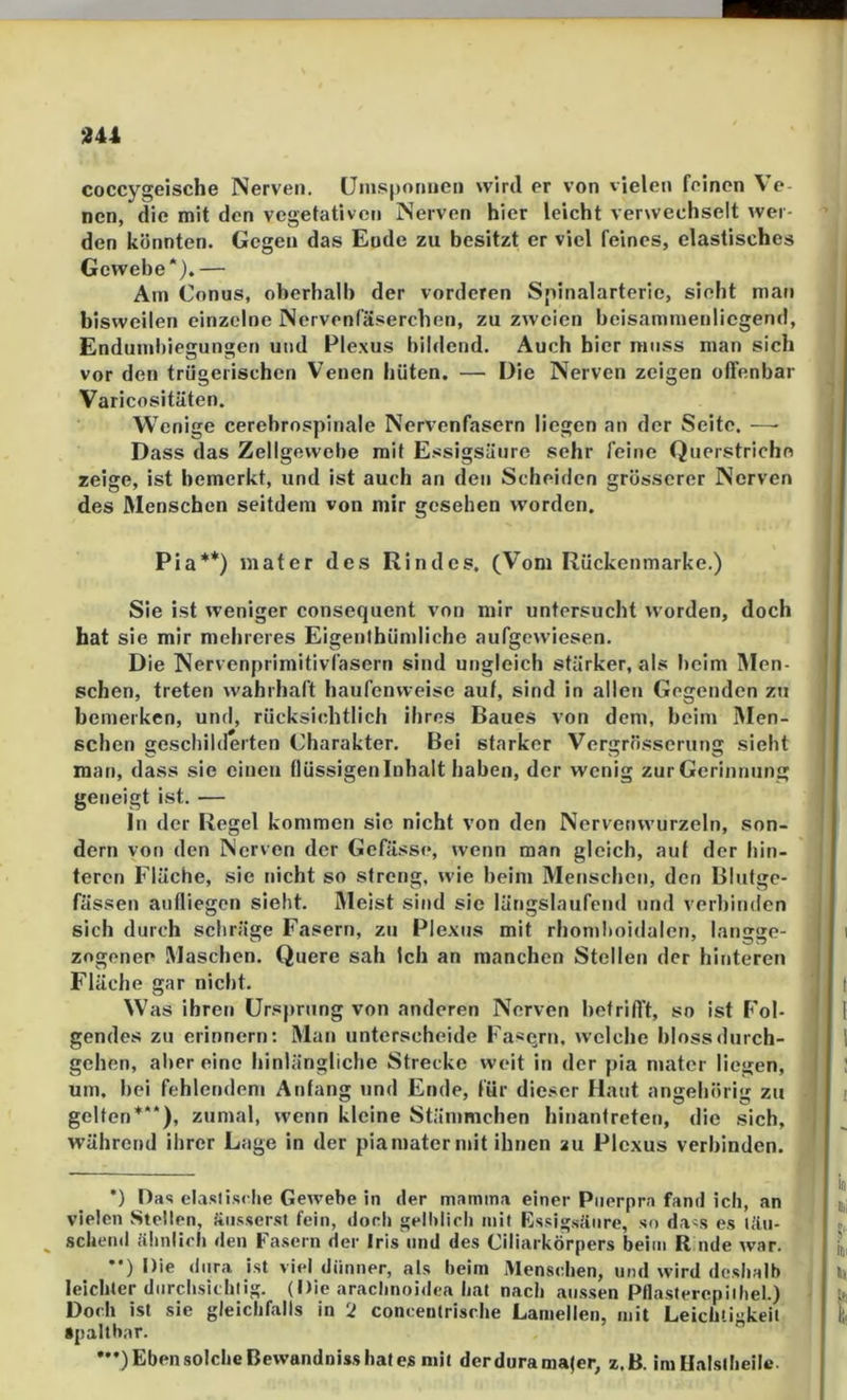 1344 coccygeische Nerven. tJui-sponnen wird er von vielen feinen Ve- nen, die mit den vegetativen Nerven hier leicht verwechselt wer- den könnten. Gegen das Ende zu besitzt er viel feines, elastisches Gewebe*). — Am Conus, oberhalb der vorderen Spinalarterie, sieht man bisweilen einzelne Nervenfäserchen, zu zweien beisamnmnlicgend, Endumhiegungen und Plexus bildend. Auch hier muss man sich vor den trügerischen Venen hüten. — Die Nerven zeigen offenbar Varicositäten. Wenige cerebrospinale Nervenfasern liegen an der Seite. —• Dass das Zellgewebe mit Essigsäure sehr feine Querstriche zeige, ist bemerkt, und ist auch an den Scheiden grösserer Nerven des Menschen seitdem von mir gesehen w'orden. Pia** ••*)) mater des Rindes. (Vom Rückenmarke.) Sie ist weniger consequent von mir untersucht worden, doch hat sie mir mehreres Eigenihümliche aufgewiesen. Die Nervenprimitivfasern sind ungleich stärker, als beim Vlen- schen, treten wahrhaft haufenweise auf, sind in allen Gegenden zu bemerken, und, rücksicbtlich ihres Baues von dem, beim Men- schen geschilderten Charakter. Bei starker Vergrösserung sieht man, dass sie einen flüssigen Inhalt haben, der wenig zurGerinnung geneigt ist. — ln der Regel kommen sic nicht von den Nervenvvurzeln, son- dern von den Nerven der Gefässe, wenn man gleich, auf der hin- teren Fläche, sie nicht so streng, wie beim Menschen, den Blutge- fässen anfliegen sieht. Meist sind sie längslaufend und verbimlen sich durch schräge Fasern, zu Plexus mit rhomltoidalcn, langge- zngenee Maschen. Quere sah Ich an manchen Stellen der hinteren Fläche gar nicht. Was ihren Ursprung von anderen Nerven betrifft, so ist Fol- gendes zu erinnern: Man unterscheide Fasqrn. welche bloss durch- gehen, aller eine hinlängliche Strecke weit in der pia mater liegen, um. bei fehlendem Anfang und Ende, für die.ser Haut angehörig zu gelten*“), zumal, wenn kleine Stämmchen hinanfreten, die sich, während ihrer Lage in der piamater mit ihnen au Plexus verbinden. *) Das elaslisclie Gewebe in der mamin.i einer Pnerpra fand ich, an vielen Stellen, äiisserst fein, doch gelblich mit Kssigsäiire, so dass es täu- schend ähnlich den Fasern der Iris und des Ciliarkörpers beim R nde war. *•) Die dura ist viel dünner, als beim Menschen, und wird deshalb leichter durchsichtig. (Die arachnoidea hat nach aussen Pflasterepiihei.) Doch ist sie gleichfalls in 2 concentrische Lamellen, mit Leichtigkeit Spaltbar. ••*) Eben solche Bewandniss hat es mit derduramajer, z.B. ini Halstheile.