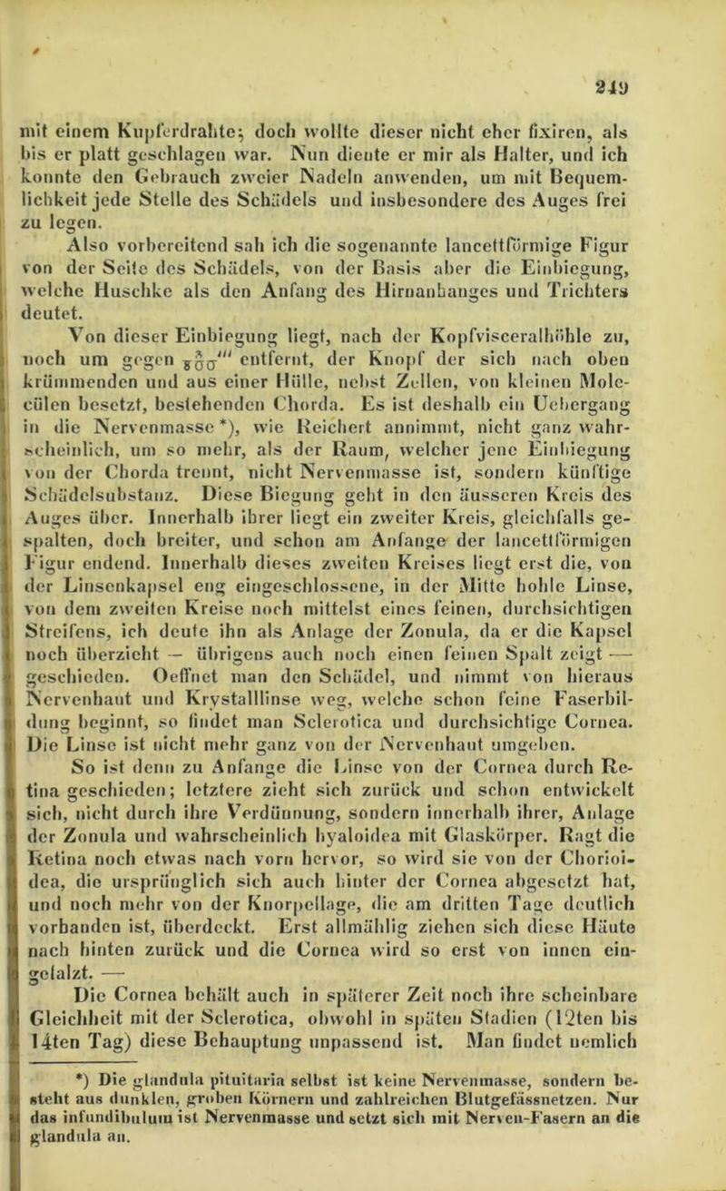 34y mit einem Kuplordralite^ doch wollte dieser nicht eher fixlron, als his er platt geschlagen war. Nun diente er mir als Halter, und ich konnte den Gebrauch zweier Nadeln anwenden, um mit Be(jucm- liclikeit jede Stelle des Schädels und insbesondere des Auges frei zu legen. Also vorbereitend sah ich die sogenannte lancettrörmige Figur von der Seite des Schädels, von der Basis aber die Einbiegung, welche Huschke als den Anfang des Hirnanbanges und Trichters deutet. Von dieser Einbiegung liegt, nach der Kopfvisceralhöhle zu, J noch um gegen entfernt, der Knopf der sich nach oben 1 krümmenden und aus einer Hülle, nel)st Zellen, von kleinen IMolc- cülen besetzt, bestehenden Chorda. Es ist deshalb ein üebergang 1 in die Nervenmassc *), wie Reichert annimnit, nicht ganz wahr- scheinlich, um so mehr, als der Raum, welcher jene Einliiegung von der Chorda trennt, nicht Nervenmasse ist, sondern künftige Scljädelsubstanz. Diese Biegung gebt in den äusseren Kreis des Auges über. Innerhalb ihrer liegt ein zweiter Kreis, gleichfalls ge- s[>alten, doch breiter, und schot» am Anfänge der lancetiförmigen Figur endend. Innerhalb dieses zweiten Kreises liegt erst die, von der Linsenkapscl eng eingeschlossene, in der Mitte hohle Linse, von dem zweiten Kreise noch mittelst eines feinen, durchsichtigen Streifens, ich deute ihn als Anlage der Zonula, da er die Kapsel noch überzieht — übrigens auch noch einen feinen Spalt zeigt ■— geschieden. Oefl'net man den Schädel, und nimmt von hieraus Nervenhaut und Krystalllinse weg, welche schon feine Faserbil- ■ düng beginnt, so findet man Sclcrotica und durchsichtige Cornea. ' Die Linse ist nicht mehr ganz von der Nervenhaut umgel)en. So ist denn zu Anfänge die Linse von der Cornea durch Re- tina geschieden; letztere zieht sich zurück und schon entwickelt sich, nicht durch ihre V’^erdüunung, sondern innerhalb ihrer, Anlage der Zonula und wahrscheinlich hyaloidea mit Glaskörper. Ragt die Retina noch etwas nach vorn hervor, so wird sie von der Chorioi- dca, die ursprünglich sich auch hinter der Cornea abgesetzt hat, und noch mehr von der Knorpellage, die am dritten Tage deutlich vorhanden ist, überdeckt. Erst allmählig ziehen sich diese Häute nach hinten zurück und die Cornea wird so erst von innen cin- gelalzt. — Die Cornea behält auch in sjräfcrcr Zeit noch ihre scheinbare Gleichheit mit der Sclerotica, obwohl in späten Sladien (12ten bis 14ten Tag) diese Behauptung unpassend ist. Man findet uemlich •) Die glandiila pituitaria selbst ist keine Nervenina.sse, sondern be- steht aus diinkien, groben Körnern und zahlreichen Blutgefässnetzeii. Nur das infundihuluiu ist Nervenmasse und setzt sich mit Nerveii-Fasern an die g'landiila an.