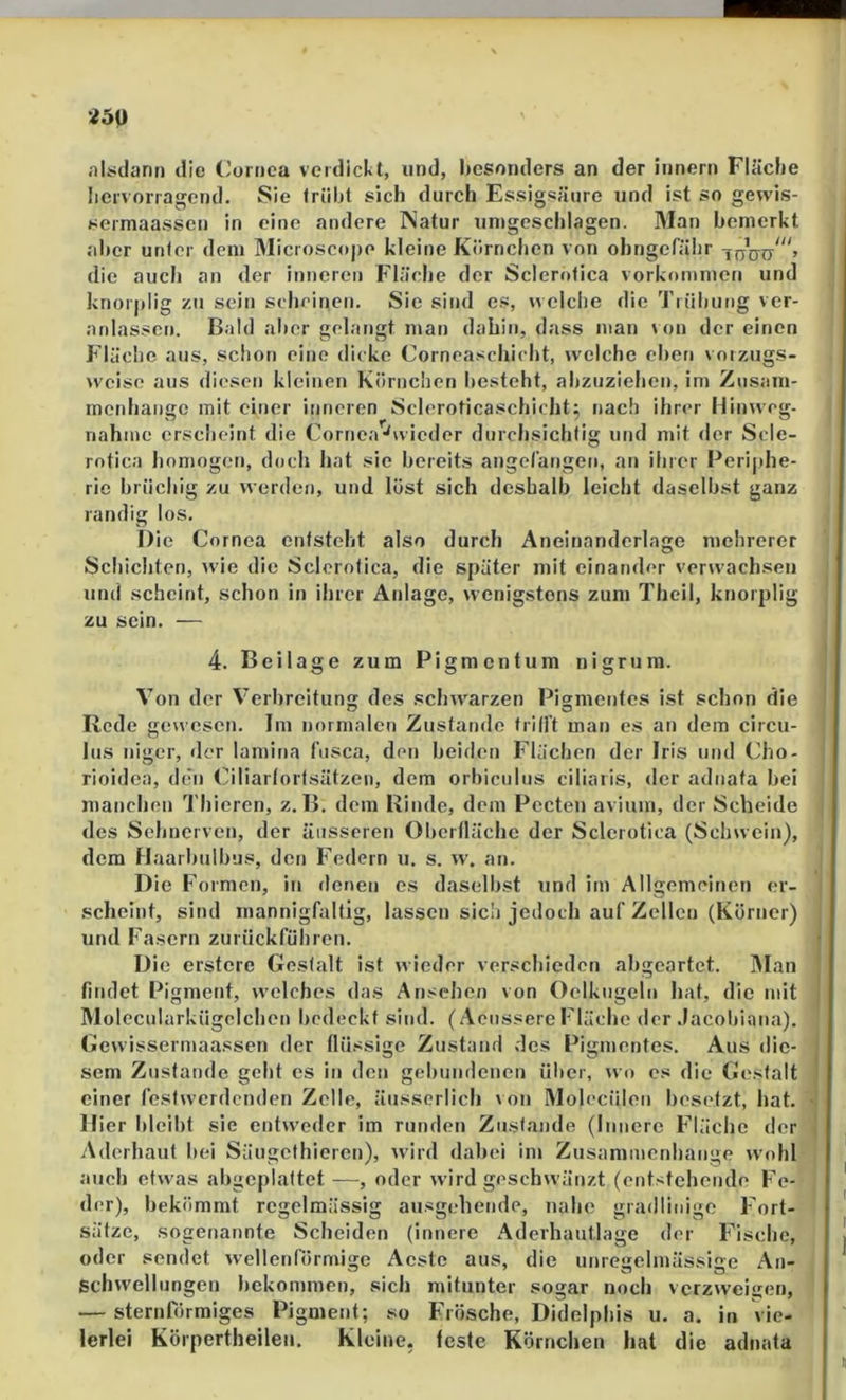 aliidann tllo ('ornea verdicU, und, besonders an der Innern FUicbe liervorragcnd. Sie friibl sich durch Essigsäure und ist so gewis- sermaassen in eine andere Natur unigeschlagen. Man bemerkt aber unler dem Microscope kleine Körnchen von ohngefäiir die auch an der inneren Fläche der Sclert)lica Vorkommen und knorplig zu sein scheinen. Sic sind es, welche die Trüluing ver- anlassen. Bald aber gelangt man dahin, dass man von der einen Fläche aus, schon eine dicke Corneaschicht, welche eben vorzugs- weise aus diesen kleinen Körnchen besteht, abzuziehen, im Zusam- menhänge mit einer inneren Scleroticaschicht^ nach ihrer Hinweg, nähme erscheint die Cornea-'wieder durchsichlig und mit der Scle- rotica homogen, doch hat sie bereits angefangeti, an ihrer Periphe- rie brüchig zu werden, und löst sich deshalb leicht daselbst ganz randig los. Die Cornea entsteht also durch Aneinanderlage mehrerer Schichten, wie die Sclcrotica, die später mit einander verwachsen und scheint, schon in ihrer Anlage, wenigstens zum Theil, knorplig zu sein. — 4. Beilage zum Pigmentum nigrura. Von der Verbreitun des schwarzen Pismcnles ist schon die Rede gewesen. Im normalen Zustande trili’t inan es an dem circu- lus niger, der lamina fusca, den beiden Flächen der Iris und (ho- rioidea, den Ciliarlorfsätzen, dem orbicnlus ciliaris, <Ier adnata bei manchen Thieren, z. B. dem Rinde, dem Pecten avium, der Scheide des Sehnerven, der äusseren Oberiläche der Sclerotica (Schwein), dem Haarbulbus, den Federn u. s. w. an. Die Formen, in denen es daselbst und im Allgemeinen er- scheint, sind mannigfaltig, lassen sicli jedoch auf Zellen (Körner) und Fasern zurückführen. Die erstere Gestalt ist wieder verschieden abgeartet. IMan findet Pigment, welches das Ansehen von Oelkugeln hat, die mit Molecnlarkügclchen bedeckt sind. (Aenssere Fläche der Jacobiona). Gewissermaassen der flüssige Zustand des Pigmentes. Aus die- sem Zustande gebt es in den gebundenen iilier, wo es die Gestalt einer festwerdenden Zelle, äusserlich von Molecülen besetzt, hat. Hier bleibt sie entweder im runden Zustande (Innere Fläche der Aderhaut bei Säugclhieren), ivird dabei im Zusammenhänge wohl auch etwas abgeplattet —, oder wird geschwänzt (entstehende Fe- der), bekömmt regelmässig ausgehende, nahe gradlinige Fort- sätze, sogenannte Scheiden (innere Aderhautlage der Fische, oder sendet wellenrörmige Aestc aus, die unregelmässige An- schwellungen bekommen, sich mitunter sogar noch vcrzwei<;en, — sternförmiges Pigment; so Frösche, Didelphis u. a. in vie- lerlei Körpertheilen. Kleine, feste Körnchen hat die adnata