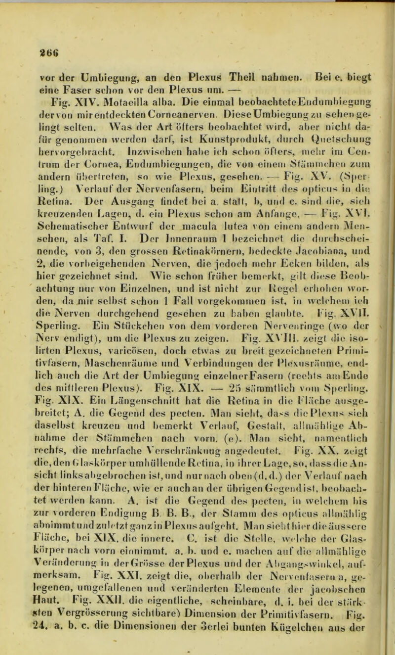 26G vor der Umbiegung, an den Plexus Theil nahmen. Bei c. biegt eine Faser schon vor den Plexus um. — Fig. XIV\ Motaeilla alba. Die einmal beobachtcteEndumliiegung ilervon mirentdeekten Corneanerven. Diese Umbiegung zu schenge- lingt selten. Was der Art ötters beobachtet wird, aber niciit da- lür genommen werden darf, ist Kunstprodukt, durch <iiielsehung hervorgcl)raclit. Itizwisehen habe ich schon öfters, mclir im Ceii- friim der Cornea, Endiindiicgungcn, die von einem Stämmchcn zum andern übertreten, so wie Plexus, gesehen. - Fig. XV. (Sper ling.) Verlauf der Xervenfasern, beim Eintritt des opticus in die Retina. Der Ausgang lindet bei a. stall, l>, und c. sind die, si(d» kreuzenden fragen, d, ein Plexus schon am Anfänge. — Fig. X\'l. Schematischer Entwurf der n)acula lutea \ on einem andern IMmi- schen, als Taf. I. Der Innenraum 1 bezeichnet die dnnhsebei- nende, von 3, den grossen Rctinakörnern, bedeckte .Facrddana, und 2, die vorbeigehenden Nerven, die jedoch mehr Ecken bilden, als hier gezeichnet sind. Wie schon früher bemerkt, gilt diese Beol)- achtung nur von Einzelnen, und ist nicht zur Kegel erholten wor- den, da mir selbst schon 1 Fall vorgekommen ist, in welchem ich rlift Nerven durchgehend gesehen zu haben glaubte. I'ig. XN 11. Sperling. Ein Stückchen von dem vorderen Nervenringe (wo der Nerv endigt), um die Plexus zu zeigen. Fig. XN'fll. zeigt die iso- lirten Plexus, varicösen, doch etwas zu breit gezeichtielen Primi- tivfüsern, IVIaschenräumo und V erbindungen der Plexusräumc, end- lich auch die Art der Umbiegung einzelnerFasern (reelils am Endo des mittleren Plexus). Fig. XIX. — 2.~) sämmflich vom Sperling. Fig. XIX. Ein Ivängenschnilt hat die Retina in die Fläche ausge- breitet; A. die Gegend des peclen. IMan siebt, dass die Plexus sieh daselbst kreuzen und bemerkt Verlauf, Gestalt, allinählige Ab- nahme der Stämmchen nach vorn. (e). Man sicht, namentlich rechts, die mehrfache Verschränkung angedeutef. Fig. XX. zeigt die, den (ilasköi fter umhüllende Retina, in ihrer Lage, so, dass die An- sicht linksabgebrochen ist,und nurnach obcn(d.d.) der Verlauf nach der hitileren Fläche, wie er auch an der übrigen G<‘gcnd ist, heoltacli- tet werden kann. A. ist die Gegend des pecten, in welchem bis zur vorderen Endigung B. B. B., der Stamm des o[»ticus allmäblig abnimmt u/id zuletzt ganz in Plexus aufgeht. Man sicht hier die äussere Fläche, bei XIX. die innere. C. ist die Stelle, welche der Glas- körper nach vorn cinnimmt. a. b. und c. machet» auf die allinählige V'cränderung in dertirösse der Plexus und der .Abgangswinkel, auf- merksam. Fig. XXI. zeigt die, oberhalb der Nei venlasern ;i, ge- legenen, umgefallenen und veränderten Elemente der jac<)bschen Haut. Fig. XXII. die eigentliche, scheinbare, d. i. hei der stärk- sten V'ergrösserung sichtbare) Dimension der Primitivfasern. Fig. 24. a. b. c. die Dimensionen der ocrlei bunten Kügelchen aus der