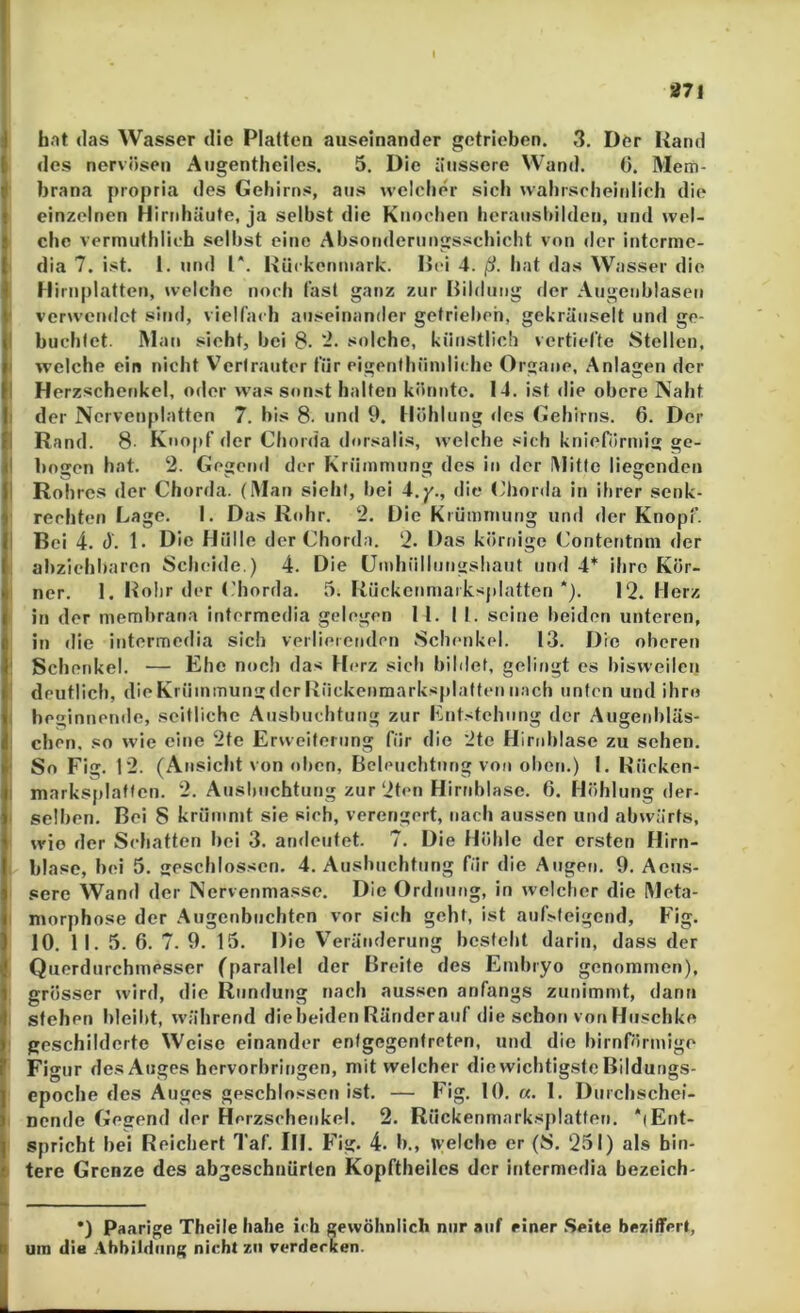 hat «las Wasser die Platten auseinander getrieben. 3. Der Hand des nervösen Aiigentheiles. 5. Die äussere Wand, G. Mem- brana propria des Gehirns, aus welcher sich wahrsclieitdich die einzelnen Hirnhäute, ja seihst die Ktiochen heraiisliilden, und wel- che vermuthlich seihst eine Ahsondernngsschicht von der intcrmc- dia 7. ist. i. und l*. HUckenmark. Bei 4. ß. hat das Wasser die Hiriiplatten, welche noch fast ganz zur Bildung der Aiigenhlasen f verwendet sind, vielfach auseinander getriel)eh, gekräuselt und ge- ! buchtet. Mati sieht, hei 8. -■ solche, künstlich vertiefte Stellen, I welche ein nicht Vertrauter für eigenthüniliche Organe, .Anlagen der I Herzschenkel, oder was sonst halten könnte. 14. ist die obere Naht I der Norvenplatten 7. bis 8. und 9. Höhlung des Gehirns. 6. Der 1 Rand. 8 Knopf der Chorda dorsalis, welche sich kriieförmig ge- I bösen hat. 2. Gegend der Krümmung des in der IMittc liegenden I Rohres der Chorda. (Man sieht, hei i.y., die t'horda in ihrer senk- rechten Lage. I. Das Rohr. 2. Die Krümiming und der Knopf. I Bei 4. d. 1. Die Hülle d er Chorda. 2. Das körnige Contentnni der al)ziehl)aren Scheide.) 4. Die üinhüllungsliaiit und 4* ihre Kör- ner. 1. Holir der t'horda, 5. Rückcnmarksplatten *). 12. Herz in der memhrana intermedia gelogen 11. II. seine beiden unteren, in die intermedia sich verlierenden Schenkel. 13. Die oberen ! Schenkel. — Ehe noch das Herz sich hihlet, gelingt es hisweilen ’ deutlich, die Krümmung der Hiickeumarksplatten nach unten und ihm i beginnende, seitliche Ausbuchtung zur Ent.'tehung der Augenl)läs- , eben, so wie eine 2te Erweiterung für die 2te Hirnhiase zu sehen. ‘ So Fig, 12. (Ansicht von <»hcn, Beleuchtung von oben.) I. Hücken- I marksplatten. 2. Ausbuchtung zur 2ten Hirnblase. 0. Höhlung der- > seihen. Bei 8 krüinnd sie sich, verengert, nach aussen und abwärts, wio der Schatten hei 3. amleutet. 7, Die Höhle der ersten Hirn- hiase, hei 5. beschlossen. 4. Ausbuchtung für die Augen, 9, Aeus- sere Wand der Nervenmasse. Die Ordnung, in welcher die Meta- 1 morphose der .Augenbuchten vor sich geht, ist auf^teigend, Fig, 10. II. 5. 6. 7. 9. 15. Die V^eränderung besteht darin, dass der , Querdurchmesser (parallel der Breite des Embryo genommen), grösser wird, die Rundung nach aussen anfangs ziinimnd, dann ; stehen hleild, während dieheiden Ränderauf die schon vonHuschko ' geschilderte Weise einander entgegentreten, und die hirnrörmige Figur des Auges hervorhringen, mit welcher die wichtigste Bildungs- epoche des Auges geschlossen ist. — Fig. 10. «. 1. Durchschei- nende Gebend der Herzschenkel. 2. Rückenmarksplatten. ‘(Ent- spricht hei Reichert Taf, III. Fig. 4. h., welche er (8. 251) als hin- I tere Grenze des abgeschnürten Kopftheiles der intermedia bezeich- *) Paarige Theile habe ich gewöhnlich nur auf einer .Seite bezitferl, um die .4hbildung nicht zu verdecken.