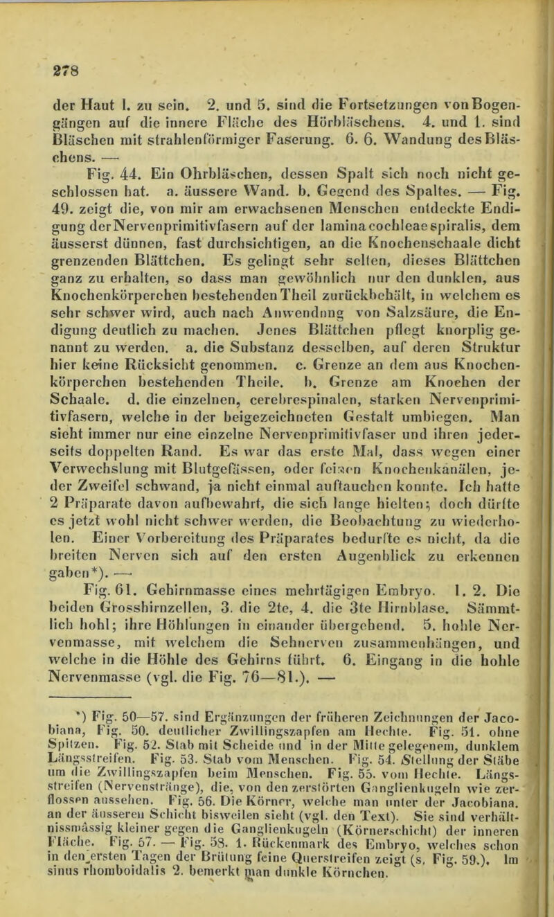 der Haut I. zu sein. 2. und 5. sind die Fortsetzungen von Bogen- gängen auf die innere Fläche des Hörhläschens. 4. und 1. sind Bläschen mit strahlenförmiger Faserung. 6. 6. Wandung des Bläs- chens. — Fig. 44. Ein Ohrhläschen, dessen Spalt sich noch nicht ge- schlossen liat. a. äussere Wand. b. Gesend des Spaltes. — Fig. 49. zeigt die, von mir am erwachsenen Menschen entdeckte Endi- gung derNervenprimitivfasern auf der laminacochleaespiralis, dem äusserst dünnen, fast durchsichtigen, an die Knochenschaale dicht grenzenden Blättchen. Es gelingt sehr selten, dieses Blättchen ganz zu erhalten, so dass man gewöhnlich nur den dunklen, aus Knochenkörperchen hestehenden Theil zurückhehält, in welchem es sehr schwer wird, auch nach Anwendung von Salzsäure, die En- digung deutlich zu machen. Jenes Blättchen pflegt knorplig ge- nannt zu werden, a. die Substanz desselben, auf deren Struktur hier keine Rücksicht genommen, c. Grenze an dem aus Knochen- körperchen bestehenden Theile. h. Grenze am Knochen der Schaale. d. die einzelnen, cerehrespinalen, starken Nervenprimi- tivfasern, welche in der hcigezeichncten Gestalt umhiegen. Man sieht immer nur eine einzelne Nervenprimifivfaser und ihren jeder- seits doppelten Rand. Es war das erste Mal, dass wegen einer Verwechslung mit Blutgefässen, oder feiricn Knochenkanälen, je- der Zweifel schwand, ja nicht einmal auftauchon konnte. Ich hatte 2 Präparate davon aufhewahrt, die sich lange hielten; doch dürfte cs jetzt wohl nicht schwer werden, die Beobachtung zu wiederho- len. Einer Vorbereitung des Präparates bedurfte es nicht, da die breiten Nerven sich auf den ersten Augenblick zu erkennen gaben*). —• Fig. Gl. Gehirnmasse eines mehrtägigen Embryo. 1.2. Die beiden Grosshirnzcilen, 3. die 2te, 4. die 3te Hirnhiase. Sämmt- lich hohl; ihre Höhlungen in einander übergebend. 5. hohle Ncr- venmasse, mit welchem die Sehnerven Zusammenhängen, und w'cichc in die Höhle des Gehirns führt. 6. Eingang in die hohle Nervenmasse (vgl. die Fig. 76—81.). — ’) Fig. 50—57. sind Ergänzungen der früheren Zeichnungen der Jaco- biana, Fig. 50. dciillicher Zwillingszapfen am Hechle. Fig. 51. ohne Spitzen. Fig. 52. Stab mit Scheide und in der Mille gelegenem, dunklem Längsstreilen. Fig- 53. Slab vom Menschen. Fig. 54. jSlellnng der Stäbe um die Zwillingszapfen beim Menschen. Fig. 55. vom Hechle. Längs- slreifen (Nervenstränge), die, von den zerstörten Ganglienluigeln wie zer- flossen aiisselien. Fig. 56. Die Körner, welche man unter der Jacobiana. an der äusseren Schicht bisweilen sieht (vgl. den Text). Sie sind verhält- nissmässig kleiner gegen die Ganglienkiigeln (Körner.schichi) der inneren Mache, fig. 57. — fig. 53. 1. Rückenmark des Embryo, welches schon in den^ersten Tagen der Brülung feine Qiierslreifen zeigt (s, Fig. 59.). Im Sinus rhomboidalis 2. bemerkt inan dunkle Körnchen.