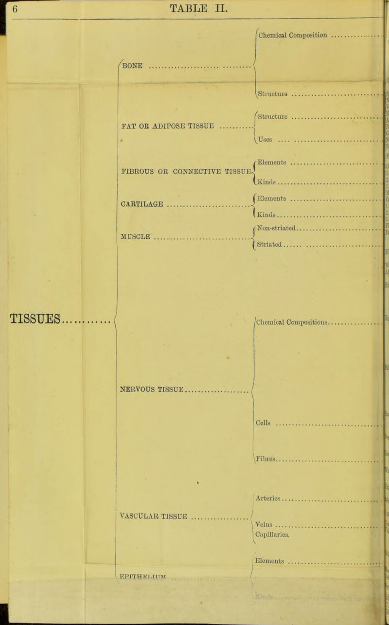 TISSUES /BONE Chemical Composition FAT OK ADIPOSE TISSUE ^Structure j IStructure l Uses FIBROUS OR CONNECTIVE TISSUE ?ii r.’( Elements CARTILAGE MUSCLE I NERVOUS TISSUE . (.Kinds ^ Elements ... ( Kinds ^ Nou-striated. Stri Striated. /Chemical Compositions. Cells VASCULAR TISSUE 1 EPiTtjFT.jmr Arteries... \ Veins Capillaries. Elements .