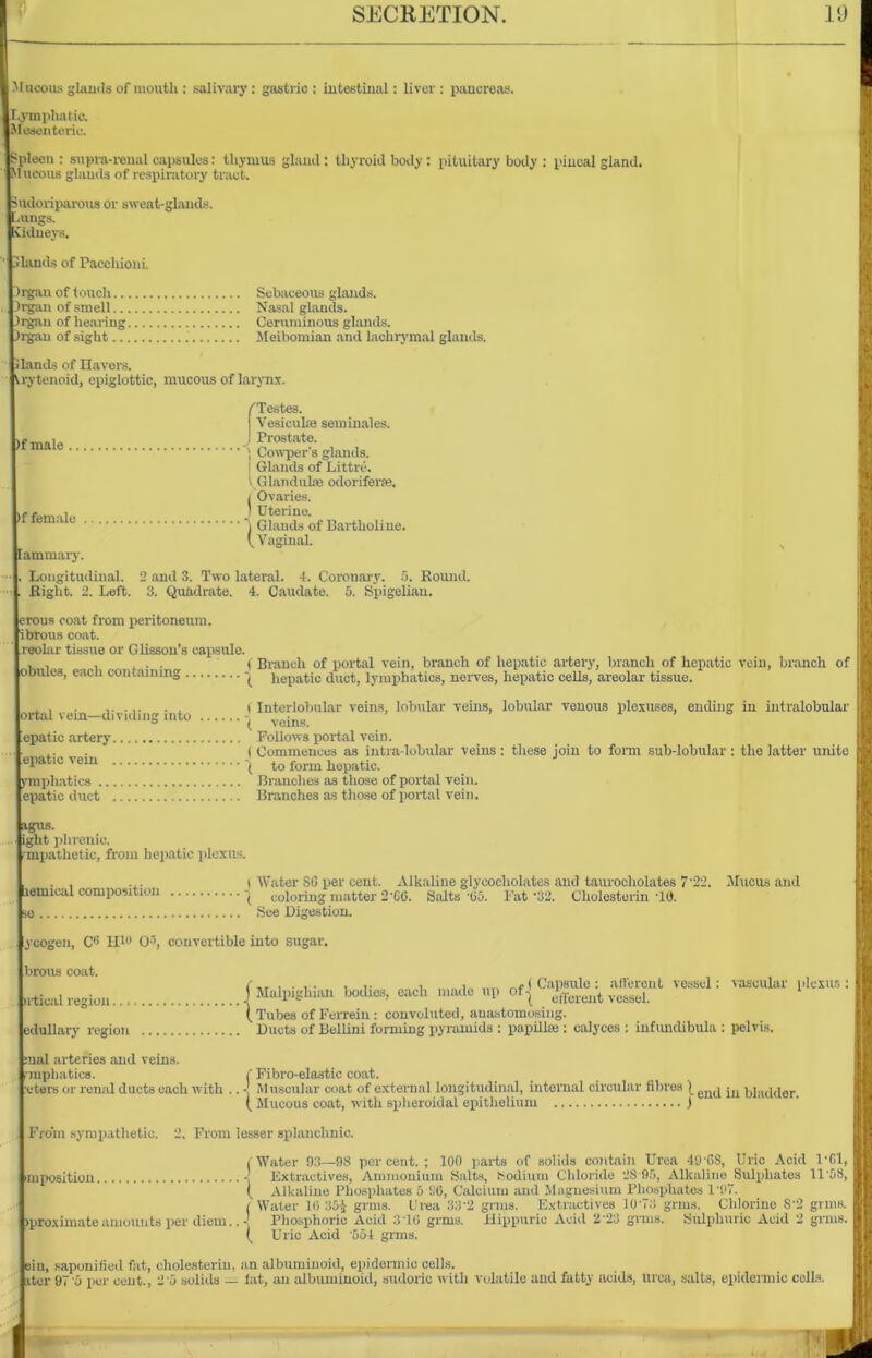 Mucous glands of mouth : salivary: gastric : intestinal: liver : pancreas. Lymphatic. Mesenteric. pleen : supra-renal capsules: thymus gland: thyroid body: pituitary body : pineal gland, lucous glands of respiratory tract. udoriparous or sweat-glands, ungs. vidueys. lands of Faechioni. 4 rgan of (ouch Sebaceous glands. ''rgan of smell Nasal glands. rgau of hearing Ceruminous glands. rgan of sight Meibomian and lachrymal glands. •lands of Havers. rytenoid, epiglottic, mucous of larynx. ('Testes. j Vesiculas sem inales. f mn)p J Prostate. ) Cowper's glands. | Glands of Littre. I Glandule odoriferse. i Ovaries. ) Uterine. 1 ) Glands of Bartholiue. (Vaginal. ammary. Longitudinal. 2 and 3. Two lateral. 4. Coronary. !>. Round. Right. 2. Left. 3. Quadrate. 4. Caudate. 5. Spigelian. rous coat from peritoneum. 'brous coat. reolar tissue or Glisson’s capsule. . . . . ( Branch of portal vein, branch of hepatic artery, branch of hepatic vein, branch of Dnies, each containing | hepatic duct, lymphatics, nerves, hepatic cells, areolar tissue. . . . , (Interlobular veins, lobular veins, lobular venous plexuses, ending in intralobular ortal vein— dividing into ’ veins epatic artery Follows portal vein. . . ( Commences as intra-lobular veins : these join to form sub-lobular : the latter unite epatic vein | to form hepatic. Tiipliatics Branches as those of portal vein. epatic duet Branches as those of portal vein, gus. gilt phrenic. •mpathetic, from hepatic plexus. . . ... I Water 80 per cent. Alkaline glycocholates and taurocholates 7’22. Mucus and emical composition -( coloring matter 2'CO. Salts -05. Fat '32. Cholesterin -10. ■e See Digestion. ycogen, O’ II10 O ', convertible into sugar. brous coat. (Capsule: afferent vessel: vascular plexus: rtieal region J Malp.gh.au bodies, each made up of^ ^-ent vessel ( Tubes of Ferrein : convoluted, anastomosing. dullary region Ducts of Bellini forming pyramids : papiilse : calyces : infmidibula : pelvis. nal arteries and veins. -mphatics. ( Fibro-elastic coat. eters or renal duets each with .. - Muscular coat of external longitudinal, internal circular fibres | >,inri,inr (.Mucous coat, with spheroidal epithelium ) From sympathetic. 2, From lesser splanchnic. (Water 93—98 percent.; 100 parts of solids contain Urea 49'68, Uric Acid l’Ol, mpositiou - Extractives, Ammonium Salts, Sodium Chloride 28 95, Alkaline Sulphates 11'58, ( Alkaline Phosphates a 96, Calcium and Magnesium Phosphates 1'97. ( Water 16 35£ grms. Urea 33'2 grins. Extractives 10‘73 grms. Chlorine S'2 grins, proximate amounts per diem.. - Phosphoric Acid 310 grms. Hippuric Acid 2'23 gnus. Sulphuric Acid 2 gnus. ( Uric Acid ’554 grms. in, saponified fat, cholesterin, an albuminoid, epidermic cells.
