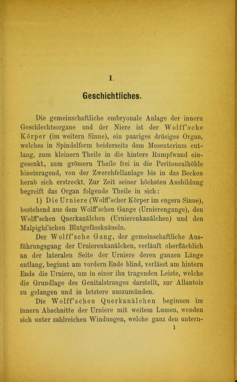 Geschichtliches. Die gemeinschaftliche embryonale Anlage der innern Geschlechtsorgane und der Niere ist der Wolff’sche Körper (im weitern Sinne), ein paariges drüsiges Organ, welches in Spindelform beiderseits dem Mesenterium ent- lang, zum kleinern Theile in die hintere Rumpfwand ein- gesenkt, zum grossem Theile frei in die Peritonealhöhle hineinragend, von der Zwerchfellanlage bis in das Becken herab sich erstreckt. Zur Zeit seiner höchsten Ausbildung begreift das Organ folgende Theile in sich: 1) Die Urniere (Wolff’scher Körper im engern Sinne), bestehend aus dem Wolff’schen Gange (Urnierengange), den WollTsehen Querkanälchen (Urnierenkanälchen) und den Malpighi’schen Blutgefässknäueln. Der Wolff’sche Gang, der gemeinschaftliche Aus- führungsgang der Urnierenkanälchen, verläuft oberflächlich an der lateralen Seite der Urniere deren ganzen Länge entlang, beginnt am vordem Ende blind, verlässt am hintern Ende die Urniere, um in einer ihn tragenden Leiste, welche die Grundlage des Genitalstranges darstellt, zur Allantois zu gelangen und in letztere auszumünden. Die Wolff’schen Querkanälchen beginnen im innern Abschnitte der Urniere mit weitem Lumen, wenden sich unter zahlreichen Windungen, welche ganz den untern- 1