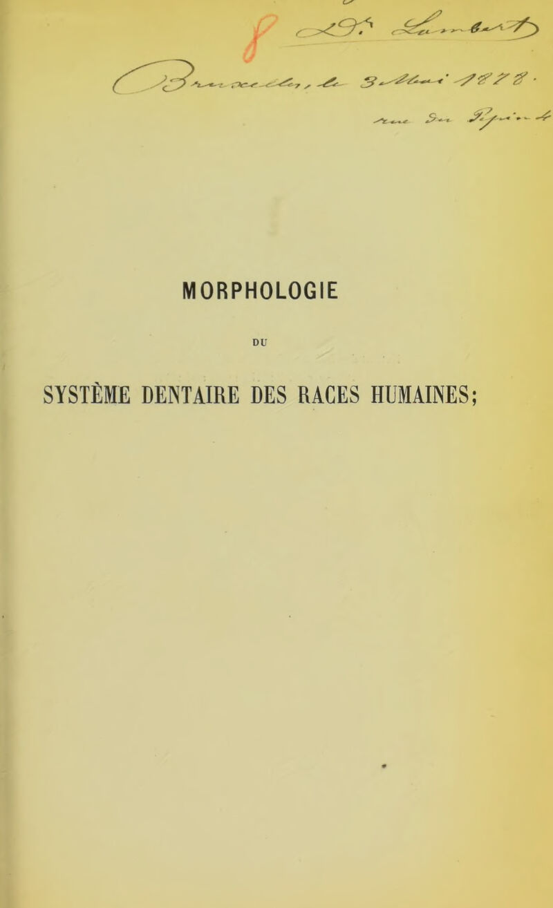 Sr- J'y-' ^ MORPHOLOGIE DU SYSTÈME DENTAIRE DES RACES HUMAINES;