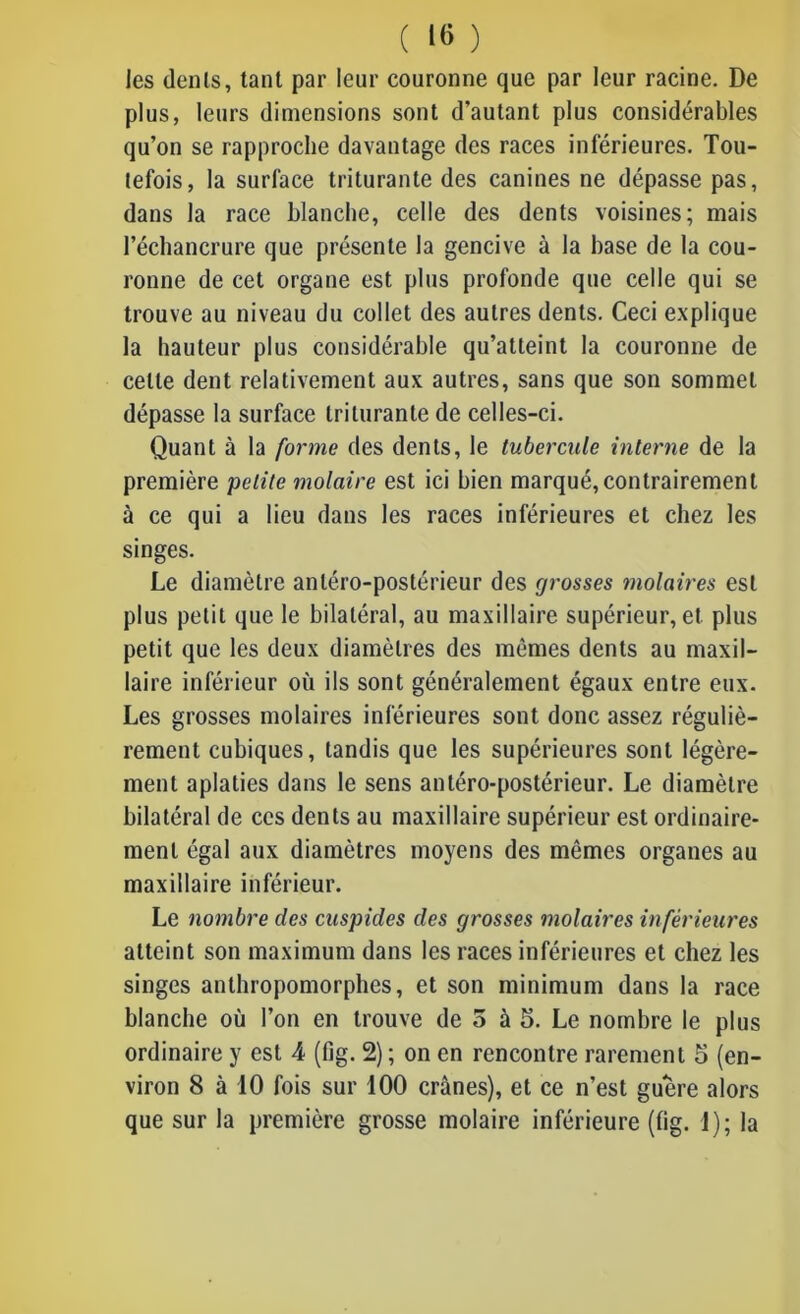 les dents, tant par leur couronne que par leur racine. De plus, leurs dimensions sont d’autant plus considérables qu’on se rapproche davantage des races inférieures. Tou- tefois, la surface triturante des canines ne dépasse pas, dans la race blanche, celle des dents voisines; mais l’échancrure que présente la gencive à la base de la cou- ronne de cet organe est plus profonde que celle qui se trouve au niveau du collet des autres dents. Ceci explique la hauteur plus considérable qu’atteint la couronne de celle dent relativement aux autres, sans que son sommet dépasse la surface triturante de celles-ci. Quant à la forme des dents, le tubercule interne de la première petite molaire est ici bien marqué, contrairement à ce qui a lieu dans les races inférieures et chez les singes. Le diamètre antéro-postérieur des grosses molaires est plus petit que le bilatéral, au maxillaire supérieur, et plus petit que les deux diamètres des mêmes dents au maxil- laire inférieur où ils sont généralement égaux entre eux. Les grosses molaires inférieures sont donc assez réguliè- rement cubiques, tandis que les supérieures sont légère- ment aplaties dans le sens antéro-postérieur. Le diamètre bilatéral de ces dents au maxillaire supérieur est ordinaire- ment égal aux diamètres moyens des mêmes organes au maxillaire inférieur. Le nombre des cuspicles clés grosses molaires inférieures atteint son maximum dans les races inférieures et chez les singes anthropomorphes, et son minimum dans la race blanche où l’on en trouve de 5 à 5. Le nombre le plus ordinaire y est A (fig. 2) ; on en rencontre rarement 5 (en- viron 8 à 10 fois sur 100 crânes), et ce n’est guere alors que sur la première grosse molaire inférieure (fig. 1); la