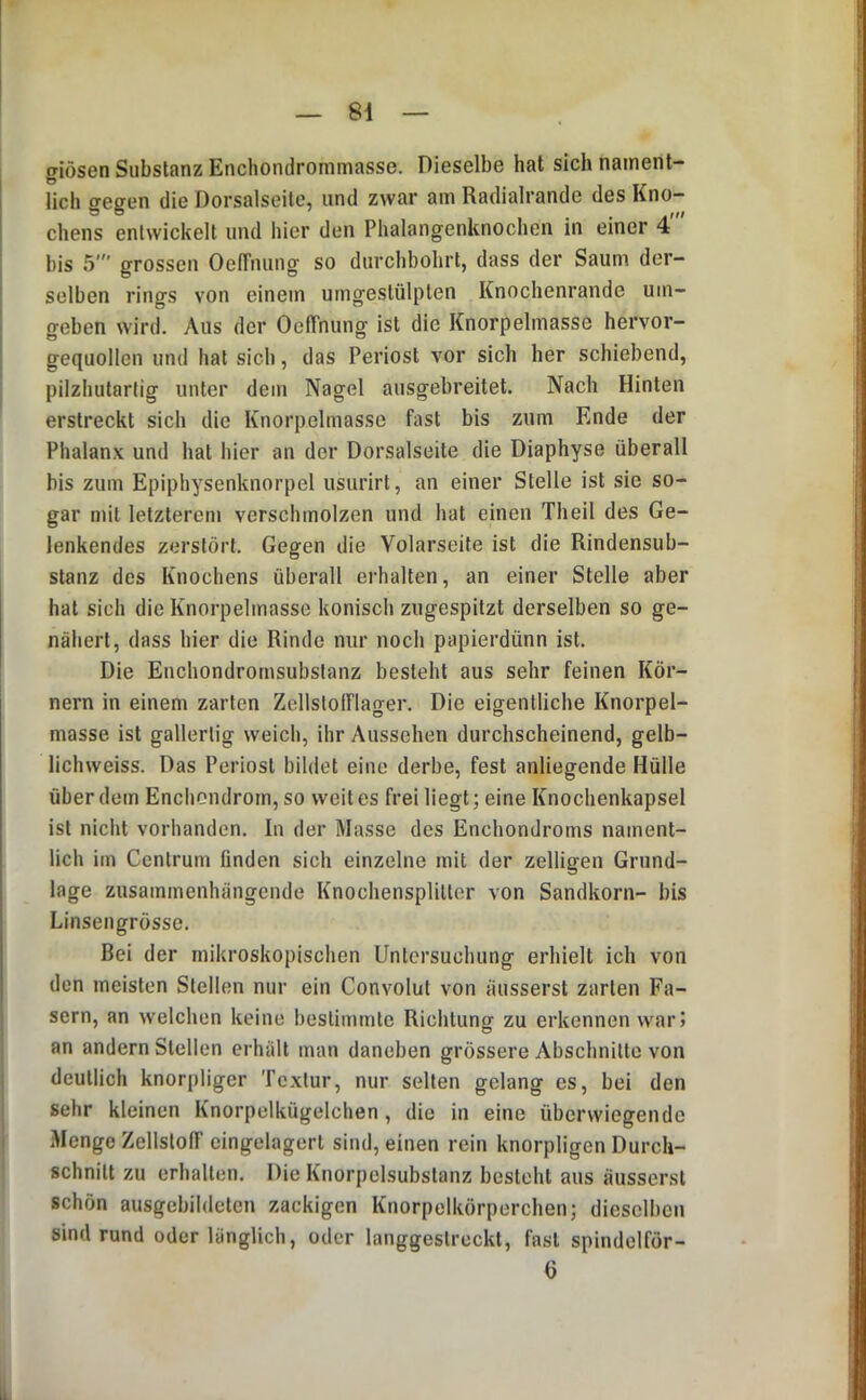 giösen Substanz Enchondrommasse. Dieselbe hat sich nament- lich gegen die Dorsalseite, und zwar am Radialrande des Kno- chens entwickelt und hier den Phalangenknochon in einer 4' bis 5' grossen OelTnung so durchbohrt, dass der Saum der- selben rings von einem umgestülpten Knochenrande um- o-eben wird. Aus der OelTnung ist die Knorpelmasse hervor- gequollen und hat sich, das Periost vor sich her schiebend, pilzhutartig unter dem Nagel ausgebreitet. Nach Hinten erstreckt sich die Knorpelmasse fast bis zum Ende der Phalanx und hat hier an der Dorsalseite die Diaphyse überall bis zum Epiphysenknorpel usurirt, an einer Stelle ist sie so- gar mit letzterem verschmolzen und hat einen Theil des Ge- lenkendes zerstört. Gegen die Volarseite ist die Rindensub- stanz des Knochens überall erhalten, an einer Stelle aber hat sich die Knorpelmasse konisch zugespitzt derselben so ge- nähert, dass hier die Rinde nur noch papierdünn ist. Die Enchondromsubstanz besteht aus sehr feinen Kör- nern in einem zarten Zellstolflager. Die eigentliche Knorpel- masse ist gallertig weich, ihr Aussehen durchscheinend, gelb- lichweiss. Das Periost bildet eine derbe, fest anliegende Hülle über dem Encliondrorn, so weit es frei liegt; eine Knochenkapsel ist nicht vorhanden. In der Masse des Enchondroms nament- lich im Centrum finden sich einzelne mit der zelligen Grund- lage zusammenhängende Knochensplitter von Sandkorn- bis Linsengrösso. Bei der mikroskopischen Untersuchung erhielt ich von den meisten Stellen nur ein Convolut von äusserst zarten Fa- sern, an welchen keine bestimmte Richtung zu erkennen war» an andern Stellen erhält man daneben grössere Abschnitte von deutlich knorpliger Textur, nur selten gelang es, bei den sehr kleinen Knorpelkügelchen, die in eine überwiegende Menge Zellstoff eingelagert sind, einen rein knorpligen Durch- schnitt zu erhalten. Die Knorpelsubstanz besteht aus äusserst schön ausgebildeten zackigen Knorpelkörperchen; dieselben sind rund oder länglich, oder langgestreckt, fast spindelför- 6