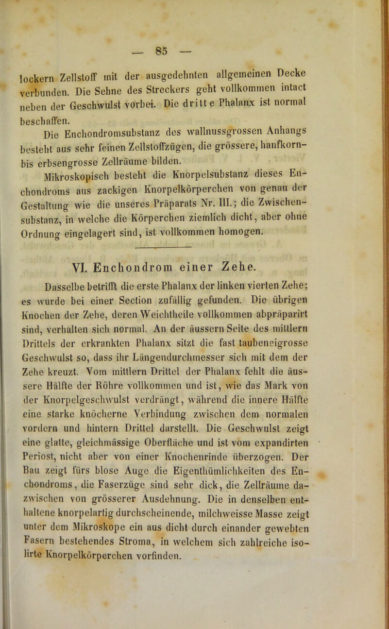 lockern Zellstoff mit der ausgedehnten allgemeinen Decke verbunden. Die Sehne des Streckers geht vollkommen intact neben der Geschwulst vorbei. Die dritte Phalanx ist normal beschaffen. Die Enchondromsubstanz des wallnussgrossen Anhangs besteht aus sehr feinen Zellstoffzügen, die grössere, hanfkorn- bis erbsengrosse Zellräume bilden. Mikroskopisch besteht die Knorpelsubstanz dieses Eii- chondroms aus zackigen Knorpelkörperchen von genau der Gestaltung wie die unseres Präparats Nr. III.5 die Zwischen- substanz, in welche die Körperchen ziemlich dicht, aber ohne Ordnung eingelagert sind, ist vollkommen homogen. VI. Enchondrom einer Zehe. Dasselbe betrifft die erste Phalanx der linken vierten Zehe; es wurde bei einer Section zufällig gefunden. Die übrigen Knochen der Zehe, deren Weichtheile vollkommen abpräparirt sind, verhalten sich normal. An der äussern Seite des mittlern Drittels der erkrankten Phalanx sitzt die fast taubeneigrosse Geschwulst so, dass ihr Längendurchmesser sich mit dem der Zehe kreuzt. Vom mittlern Drittel der Phalanx fehlt die äus- sere Hälfte der Röhre vollkommen und ist, wie das Mark von der Knorpelgeschwulst verdrängt, während die innere Hälfte eine starke knöcherne Verbindung zwischen dem normalen vordem und hintern Drittel darstellt. Die Geschwulst zeigt eine glatte, gleichmässige Oberfläche und ist vom expandirten Periost, nicht aber von einer Knochenrinde überzogen. Der Bau zeigt fürs blose Auge die Eigenthümlichkeiten des En- chondroms, die Faserzüge sind sehr dick, die Zellräume da- zwischen von grösserer Ausdehnung. Die in denselben ent- haltene knorpelartig durchscheinende, milchweisse Masse zeigt unter dem Mikroskope ein aus dicht durch einander gewebten Fasern bestehendes Stroma, in welchem sich zahlreiche iso- lirte Knorpelkorperchen vorfinden.