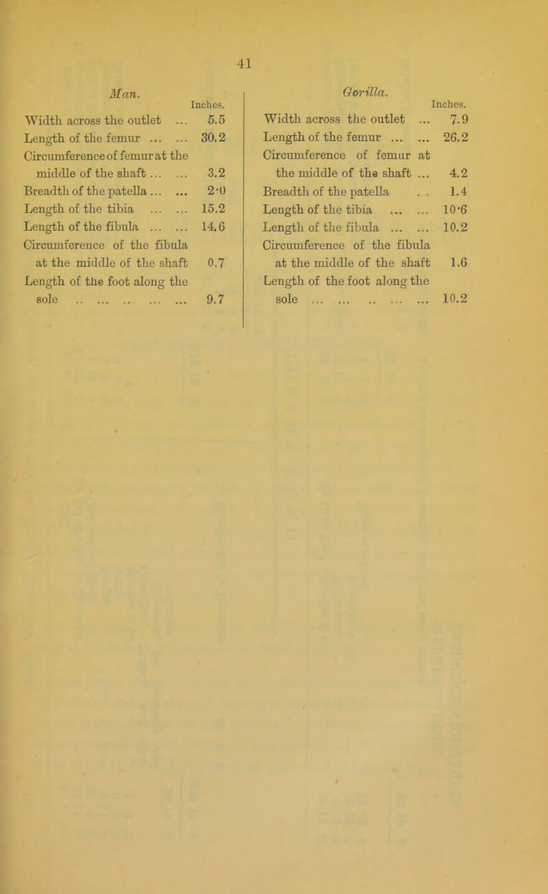 Man. Inches. Wicltli across the outlet ... 5.5 Length of the femur 30.2 Circumference of femur at the middle of the shaft 3.2 Breadth of the patella 2-0 Length of the tibia 15.2 Length of the fibula 14.6 Circumference of the fibula at the middle of the shaft 0.7 Length of the foot along the sole 9.7 Gorilla. Inches. Width across the outlet ... 7.9 Length of the femur Circumference of femur at 26.2 the middle of the shaft ... 4.2 Breadth of the patella . . 1.4 Length of the tibia 10-6 Length of the fibula Circumference of the fibula 10.2 at the middle of the shaft Length of the foot along the 1.6 sole 10.2