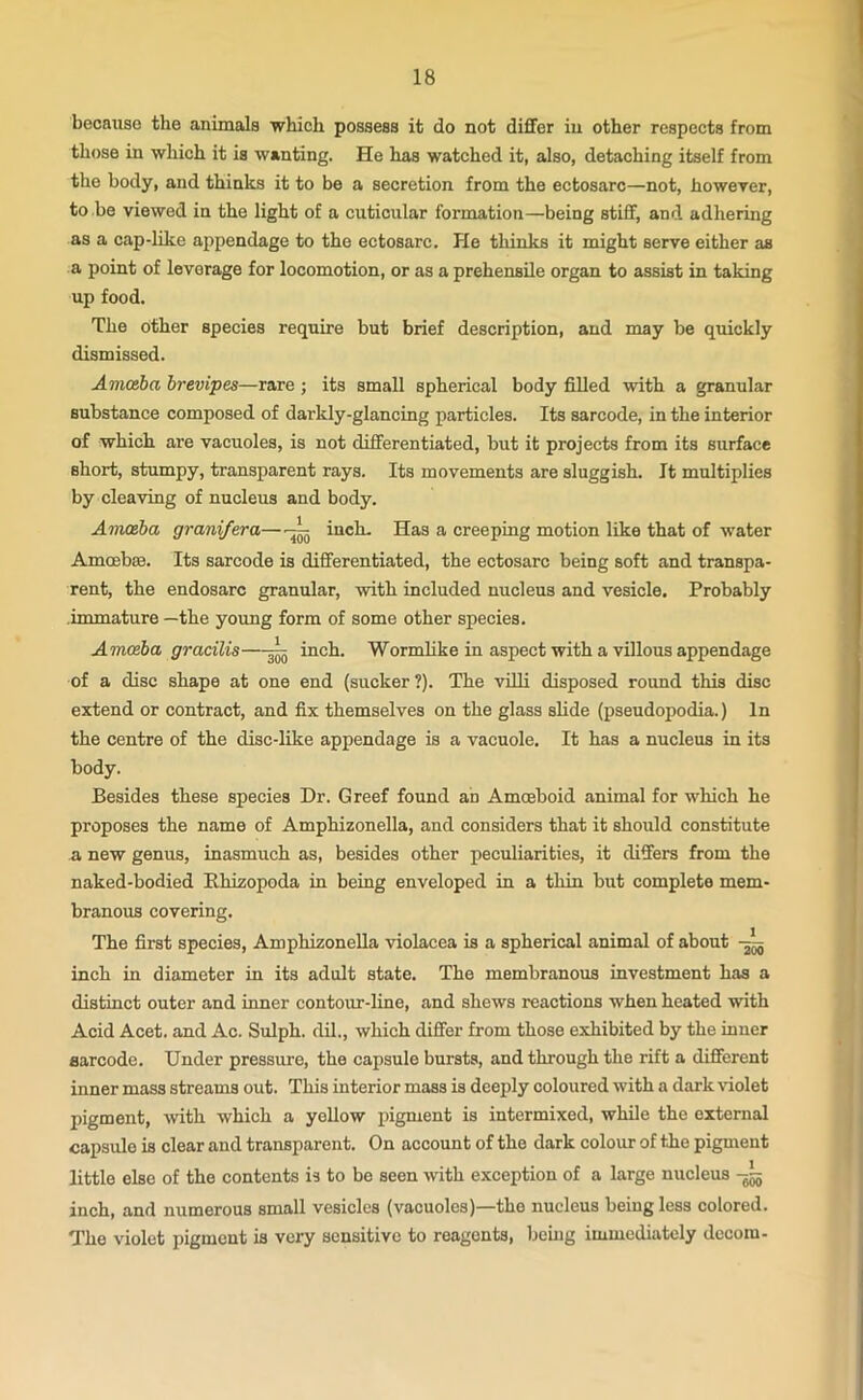 because the animals which possess it do not differ iu other respects from those in which it is wanting. He has watched it, also, detaching itself from the body, and thinks it to be a secretion from the ectosarc—not, however, to be viewed in the light of a cuticular formation—being stiff, and adhering as a cap-like appendage to the ectosarc. He thinks it might serve either as a point of leverage for locomotion, or as a prehensile organ to assist in taking up food. The other species require but brief description, and may be quickly dismissed. Amoeba brevipes—rare ; its small spherical body filled with a granular substance composed of daiddy-glancing particles. Its sarcode, in the interior of which are vacuoles, is not differentiated, but it projects from its surface short, stumpy, transparent rays. Its movements are sluggish. It multiplies by cleaving of nucleus and body. Amoeba granifera—~ inch. Has a creeping motion like that of water Amoebae. Its sarcode is differentiated, the ectosarc being soft and transpa- rent, the endosarc granular, with included nucleus and vesicle. Probably immature —the young form of some other species. Amoeba gracilis—^ inch. Wormlike in aspect with a villous appendage of a disc shape at one end (sucker ?). The villi disposed round this disc extend or contract, and fix themselves on the glass slide (pseudopodia.) In the centre of the disc-like appendage is a vacuole. It has a nucleus in its body. Besides these species Dr. Greef found an Amceboid animal for which he proposes the name of Amphizonella, and considers that it should constitute a new genus, inasmuch as, besides other peculiarities, it differs from the naked-bodied Bhizopoda in being enveloped in a thin but complete mem- branous covering. The first species, Amphizonella violacea is a spherical animal of about inch in diameter in its adult state. The membranous investment has a distinct outer and inner contour-line, and shews reactions when heated with Acid Acet. and Ac. Sulph. dil., which differ from those exhibited by the inner aarcode. Under pressure, the capsule bursts, and through the rift a different inner mass streams out. This interior mass is deeply coloured with a dark violet pigment, with which a yellow pigment is intermixed, while the external capsule is clear and transparent. On account of the dark colour of the pigment little else of the contents is to be seen with exception of a large nucleus -jjj inch, and numerous small vesicles (vacuoles)—the nucleus being less colored. The violet pigment is very sensitive to reagents, being immediately dccom-