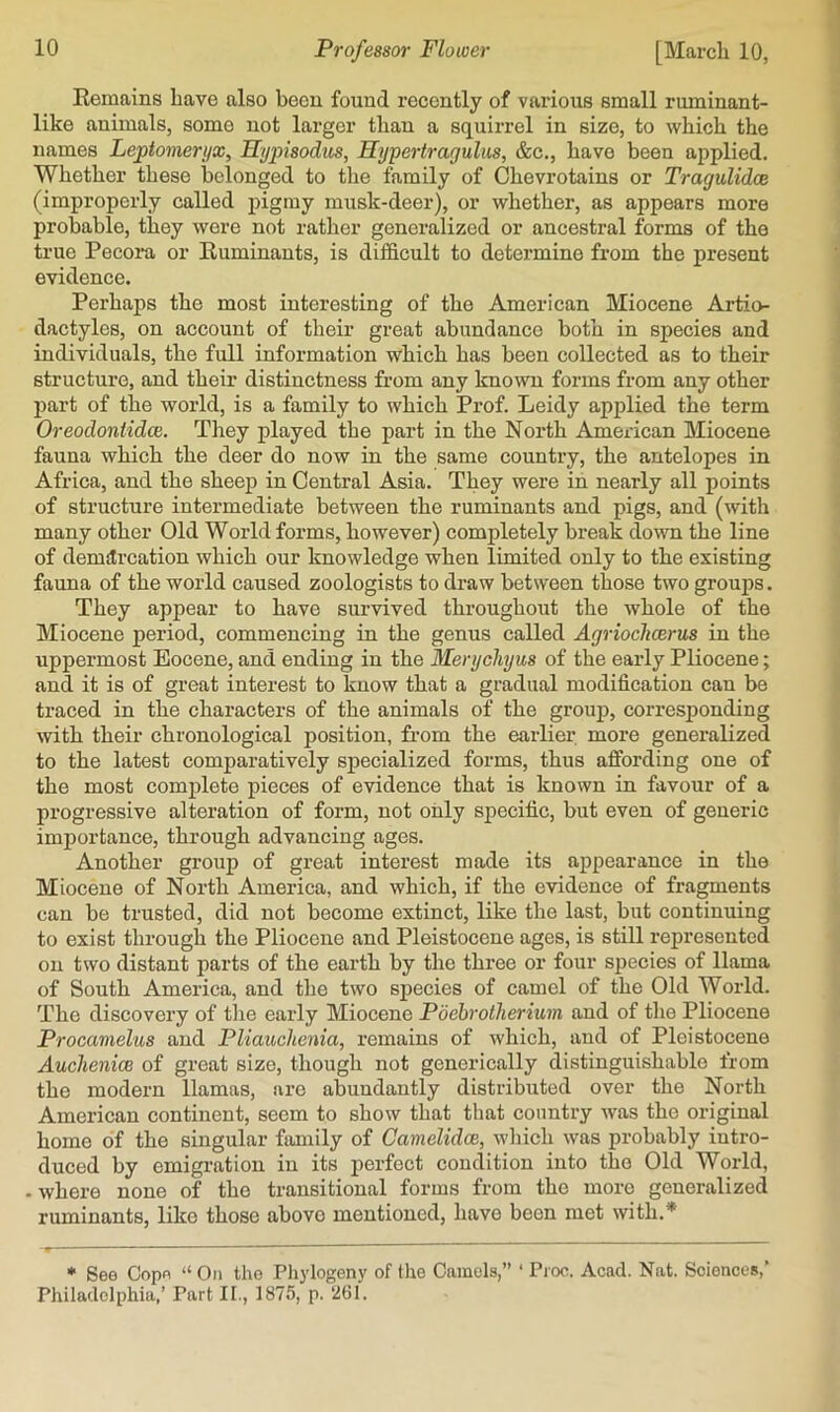 Eemains have also been found recently of various small ruminant- like animals, some not larger than a squirrel in size, to which the names Lejptomeryx, Hyjnsodus, Hypertragulus, &c., have been applied. Whether these belonged to the family of Chevrotains or Tragulidce (improperly called pigmy musk-deer), or whether, as appears more probable, they were not rather generalized or ancestral forms of the true Pecoi’a or Ruminants, is difficult to detei’mine from the present evidence. Perhaps the most interesting of the American Miocene Artio- dactyles, on account of their great abundance both in species and individuals, the full information which has been collected as to their structure, and their distinctness from any known forms from any other jjart of the world, is a family to which Prof. Leidy applied the term Oreodoniidce. They played the part in the North American Miocene fauna which the deer do now in the same country, the antelopes in Africa, and the sheep in Central Asia. They were in nearly all points of structure intermediate between the ruminants and pigs, and (with many other Old World forms, however) completely break down the line of demilrcation which our knowledge when limited only to the existing fauna of the world caused zoologists to draw between those two groups. They appear to have survived throughout the whole of the Miocene period, commencing in the genus called Agriochcerus in the uppermost Eocene, and ending in the Merychyus of the early Pliocene; and it is of great interest to know that a gradual modification can be traced in the characters of the animals of the group, corresponding with their chronological position, fi’om the earlier more generalized to the latest comparatively specialized forms, thus affording one of the most complete pieces of evidence that is known in favour of a progressive alteration of form, not only specific, but even of generic importance, through advancing ages. Another group of great interest made its appearance in the Miocene of North America, and which, if the evidence of fragments can be trusted, did not become extinct, like the last, but continuing to exist through the Pliocene and Pleistocene ages, is still represented on two distant parts of the earth by the three or four species of llama of South America, and the two species of camel of the Old World. The discovery of tlie early Miocene Poehrotherium and of the Pliocene Procamelus and Pliauchenia, remains of which, and of Pleistocene Auchenioe of great size, though not generically distinguishable from the modern llamas, are abundantly distributed over the North American continent, seem to show that that country was the original home of the singular fiunily of Camelidoe, which was probably intro- duced by emigi’ation in its perfect condition into the Old World, . where none of the transitional forms from the more generalized ruminants, like those above mentioned, have been met with.* * See Cope “ On the Pliylogeny of the Camels,” ‘ Pioc. Acad. Nat. Sciences,’ Philadelphia,’ Part II., 1875, p. 261.