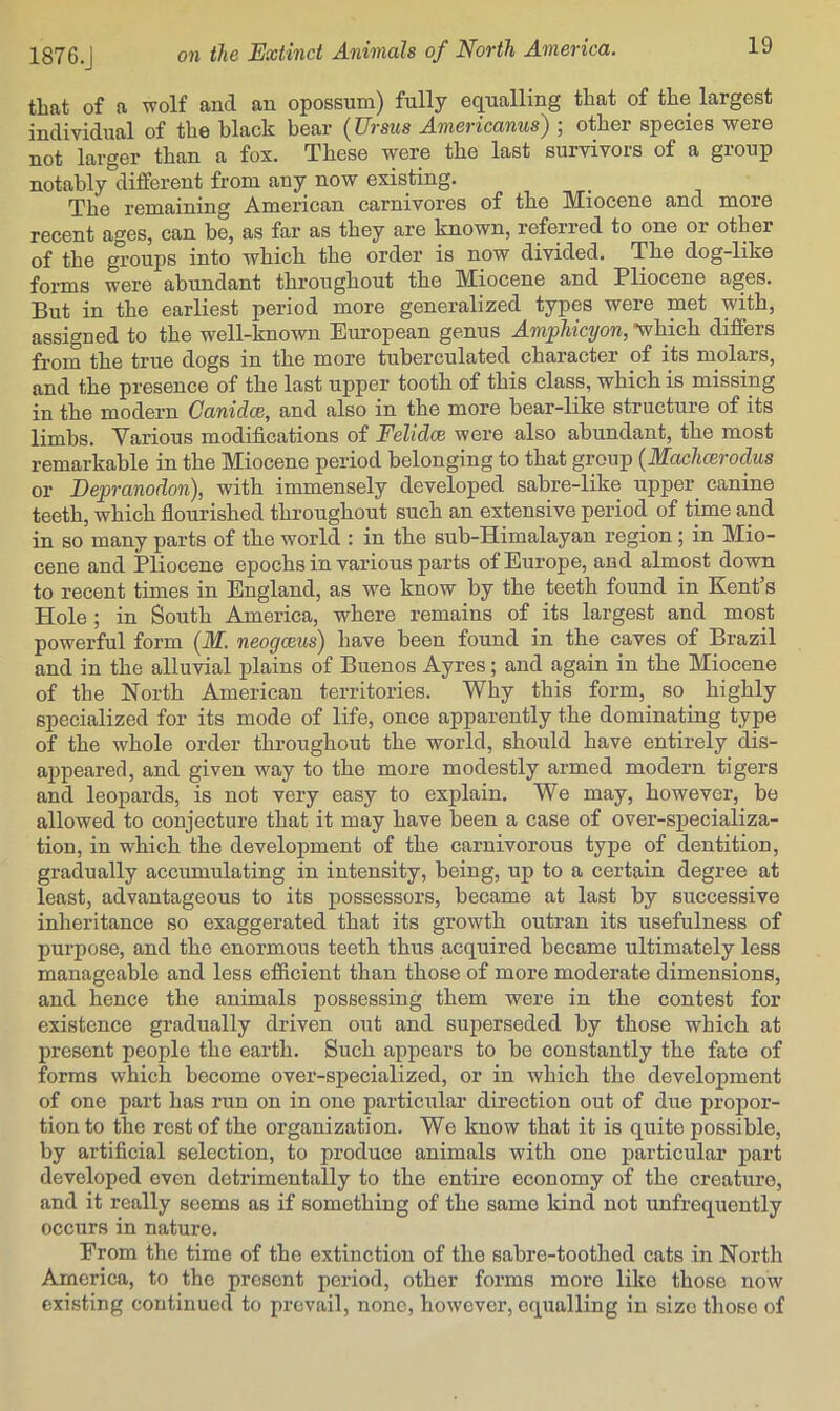 that of a wolf and an opossum) fully equalling that of the largest individual of the black bear {Ursus Americanus) ; other species were not larger than a fox. These were the last survivors of a group notably different from any now existing. The remaining American carnivores of the Miocene and more recent ages, can be, as far as they are known, referred to one or other of the groups into which the order is now divided. The dog-like forms were abundant throughout the Miocene and Pliocene ages. But in the earliest period more generalized types were met with, assigned to the well-known European genus Amphicyon, •which differs from the true dogs in the more tuberculated character of its molars, and the presence of the last upper tooth of this class, which is missing in the modern Canidce, and also in the more bear-like structure of its limbs. Various modifications of Felidce were also abundant, the most remarkable in the Miocene period belonging to that group {JM.achcerodus or Depranodon), with immensely developed sabre-like upper^ canine teeth, which flourished throughout such an extensive period of time and in so many parts of the world : in the sub-Himalayan region; in Mio- cene and Pliocene epochs in various parts of Europe, and almost down to recent times in England, as we know by the teeth found in Kent’s Hole ; in South America, where remains of its largest and most powerful form {M. neogceus) have been found in the caves of Brazil and in the alluvial plains of Buenos Ayres; and again in the Miocene of the North American territories. Why this form, so_ highly specialized for its mode of life, once apparently the dominating type of the whole order throughout the world, should have entirely dis- appeared, and given way to the more modestly armed modern tigers and leopards, is not very easy to explain. We may, however, be allowed to conjecture that it may have been a case of over-specializa- tion, in which the development of the carnivorous type of dentition, gradually accumulating in intensity, being, up to a certain degree at least, advantageous to its possessors, became at last by successive inheritance so exaggerated that its growth outran its usefulness of purpose, and the enormous teeth thus acquired became ultimately less manageable and less efiicient than those of more moderate dimensions, and hence the animals possessing them were in the contest for existence gradually driven out and superseded by those which at present people the earth. Such appears to be constantly the fate of forms which become over-specialized, or in which the development of one part has run on in one particxxlar direction out of due propor- tion to the rest of the organization. We know that it is quite possible, by artificial selection, to produce animals with one particular part developed even detrimentally to the entire economy of the creature, and it really seems as if something of the same kind not unfrequently occurs in nature. From the time of the extinction of the sabre-toothed cats in North America, to the present period, other forms more like those now existing continued to prevail, none, however, equalling in size those of
