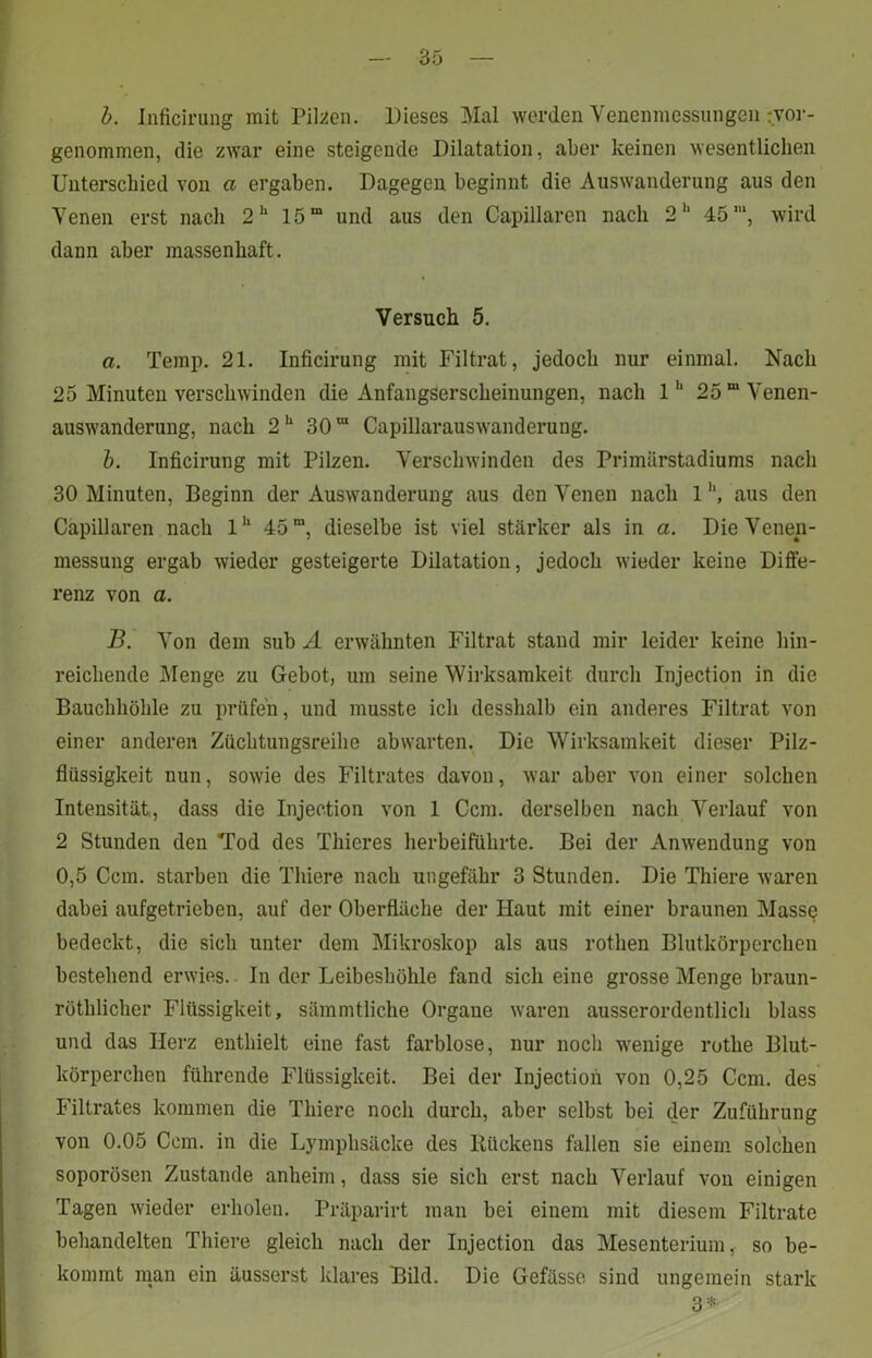 b. Inficirung mit Pilsen. Dieses Mal werden Venenmessungen :.vor- genommen, die zwar eine steigende Dilatation, aber keinen wesentlichen Unterschied von a ergaben. Dagegen beginnt die Auswanderung aus den Venen erst nach 2h 15m und aus den Capillaren nach 2h 45”*, wird dann aber massenhaft. Versuch 5. a. Temp. 21. Inficirung mit Filtrat, jedoch nur einmal. Nach 25 Minuten verschwinden die Anfangserscheinungen, nach 1ll 25 “Venen- auswanderung, nach 2U 30“ Capillarauswanderung. b. Inficirung mit Pilzen. Verschwinden des Primärstadiums nach 30 Minuten, Beginn der Auswanderung aus den Venen nach 1 '*, aus den Capillaren nach lh 45“, dieselbe ist viel stärker als in a. Die Venen- messung ergab wieder gesteigerte Dilatation, jedoch wieder keine Diffe- renz von a. B. Von dem sub A erwähnten Filtrat stand mir leider keine hin- reichende Menge zu Gebot, um seine Wirksamkeit durch Injection in die Bauchhöhle zu prüfen, und musste ich desshalb ein anderes Filtrat von einer anderen Züchtungsreihe abwarten. Die Wirksamkeit dieser Pilz- flüssigkeit nun, sowie des Filtrates davon, war aber von einer solchen Intensität, dass die Injection von 1 Ccm. derselben nach Verlauf von 2 Stunden den Tod des Thieres herbeiführte. Bei der Anwendung von 0,5 Ccm. starben die Tliiere nach ungefähr 3 Stunden. Die Thiere waren dabei aufgetrieben, auf der Oberfläche der Haut mit einer braunen Mass<? bedeckt, die sich unter dem Mikroskop als aus rothen Blutkörperchen bestehend erwies. In der Leibeshöhle fand sich eine grosse Menge braun- röthlicher Flüssigkeit, sämmtliche Organe waren ausserordentlich blass und das Herz enthielt eine fast farblose, nur noch wenige rothe Blut- körperchen führende Flüssigkeit. Bei der Injection von 0,25 Ccm. des Filtrates kommen die Thiere noch durch, aber selbst bei der Zuführung von 0.05 Ccm. in die Lymphsäcke des Rückens fallen sie einem solchen soporösen Zustande anheim, dass sie sich erst nach Verlauf von einigen Tagen wieder erholen. Präparirt man bei einem mit diesem Filtrate behandelten Thiere gleich nach der Injection das Mesenterium, so be- kommt man ein äusserst klares Bild. Die Gefässe sind ungemein stark 3*