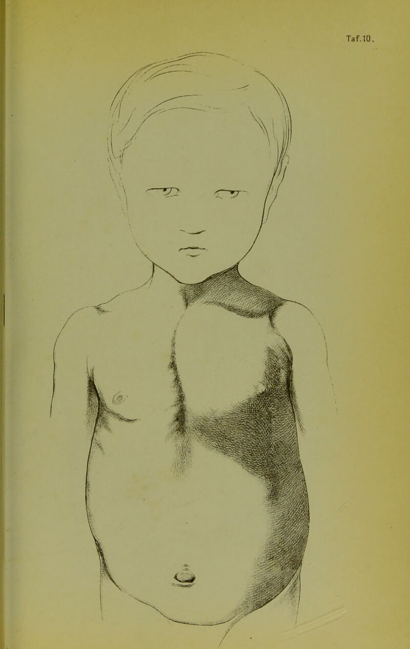 Taf.10