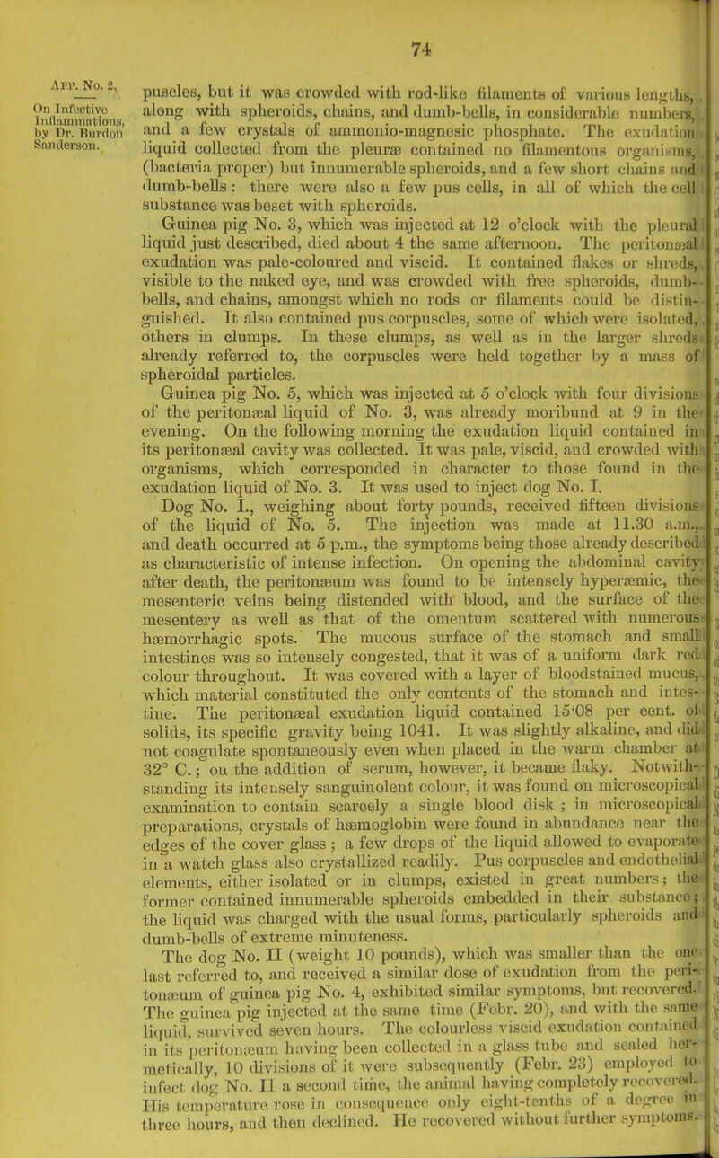 Api>. No. 2, On Infective Inflammations, by Dr. Burdon Sanderson. puaclos, but it was crowded with rod-liko filaments of various lengths, along with spheroids, chains, and dumb-bells, in considerable numbers, and a few crystals of ammonio-magncsic phosphate. The exudation . , liquid collected from the pleura; contained no filamentous organisms,. (bacteria proper) but innumerable spheroids, and a few short chains and dumb-bells: there were also a few pus cells, in all of which the cell substance was beset with spheroids. Guinea pig No. 3, which was injected at 12 o’clock with the pleural liquid just described, died about 4 the same afternoon. The peritoneal exudation was pale-coloured and viscid. It contained flakes or shreds,. visible to the naked eye, and was crowded with free spheroids, dumb- bells, and chains, amongst which no rods or filaments could be distin- ! guished. It also contained pus corpuscles, some of which were isolated,. others in clumps. In these clumps, as well as in the larger shreds , already referred to, the corpuscles were held together by a mass of spheroidal particles. _ Guinea pig No. 5, which was injected at o o’clock with four divisions ,j of the peritonaea! liquid of No. 3, was already moribund at 9 in the; 4 evening. On the following morning the exudation liquid contained in „ its peritoneal cavity was collected. It was pale, viscid, and crowded with, ’ organisms, which corresponded in character to those found in the exudation liquid of No. 3. It was used to inject dog No. I. Dog No. I., weighing about forty pounds, received fifteen divisions- . of the liquid of No. 5. The injection was made at 11.30 a.111.,.. s and death occurred at 5 p.m., the symptoms being those already described , as characteristic of intense infection. On opening the abdominal cavity after death, the peritonaeum was found to be intensely hyperaemic, the' ,| mesenteric veins being distended with blood, and the surface of the mesentery as well as that of the omentum scattered with numerous- haemorrhagic spots. The mucous surface of the stomach and small1 intestines was so intensely congested, that it was of a uniform dark red; colour throughout. It was covered with a layer of bloodstained mucus,, (( which material constituted the only contents of the stomach and intes- j, tine. The peritonaea! exudation liquid contained lo'08 per cent, of ^ solids, its specific gravity being 1041. It was slightly alkaline, and did not coagulate spontaneously even when placed in the warm chamber at 1 32° C.; on the addition of serum, however, it became flaky. Notwith- • standing its intensely sanguinolent colour, it was found on microscopical’ , examination to contain scaroely a single blood disk ; in microscopical I ^ preparations, crystals of haemoglobin were found in abundance near the , edees of the cover glass ; a few drops of the liquid allowed to evaporate , in a watch glass also crystallized readily. Pus corpuscles and endothelial ; elements, either isolated or in clumps, existed in great numbers; the i ^ former contained innumerable spheroids embedded in their substance; i ^ the liquid was charged with the usual forms, particularly spheroids and dumb-bells of extreme minuteness. The dog No. II (weight 10 pounds), which was smaller than the one ; last referred to, and received a similar dose ol exudation from the peii- tomnum of guinea pig No. 4, exhibited similar symptoms, but recovered. The guinea pig injected at the same time (Fcbr. 20), and with the same jj liquid, survived seven hours. The colourless viscid exudation contained , in its peritonaeum having been collected in a glass tube and sealed her* metically, 10 divisions of it were subsequently (Febr. 23) employed to infect dog No. II a second time, the animal having completely recovered. His temperature rose in consequence only eight-tenths of a degree m three hours, and then declined. He recovered without further symptoms. ^