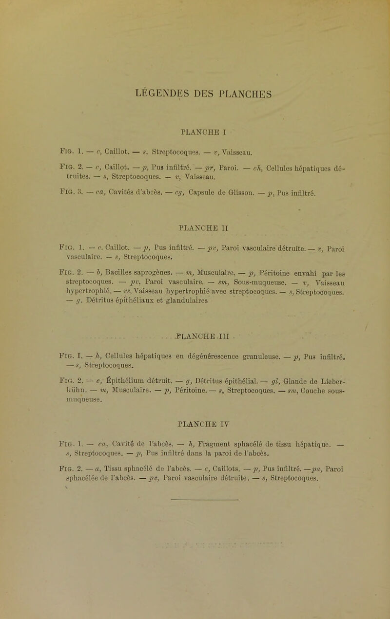 LÉGENDES DES PLANCHES PLANCHE I Fia. 1. — c, Caillot. — s, Streptocoques. — v, Vaisseau. L IG. 2. — e, Caillot. —p, Pus infiltré. —j,r> Paroi. — ch, Cellules hépatiques dé- truites. — s, Streptocoques. — v, Vaisseau. Fig. :s. — ca, Cavités d’abcès. — cg, Capsule de Glisson. — p, Pus infiltré. PLANCHE II Fig. 1. — c. Caillot. —p, Pus infiltré. —pv, Paroi vasculaire détruite.— v, Paroi vasculaire. — s, Streptocoques. Fig. 2. — l, Bacilles saprogènes. — m, Musculaire. — p, Péritoine envahi par les streptocoques. — pv. Paroi vasculaire. — sm, Sous-muqueuse. — v, Vaisseau hypertrophié.— vs, Vaisseau hypertrophié avec streptocoques. — s, Streptocoques. — g. Détritus épithéliaux et glandulaires PLANCHE III Fig. I. — h, Cellules hépatiques en dégénérescence granuleuse. — p, Pus infiltré. — s, Streptocoques. Fig. 2. — e, Épithélium détruit. — g, Détritus épithélial. — gl, Glande de Lieber- kühn. — vi, Musculaire. — p, Péritoine.— s. Streptocoques. —sm, Couche sous- muqueuse. PLANCHE IV Fig. 1. — ca, Cavité de l’abcès. — h, Fragment sphacélé de tissu hépatique. — •v. Streptocoques. — p, Pus infiltré dans la paroi de l'abcès. Fig. 2. — a, Tissu sphacélé de l'abcès. — c, Caillots. — p, Pus infiltré. —pa, Paroi sphacélée de l’abcès. —pv, Paroi vasculaire détruite. — s, Streptocoques.
