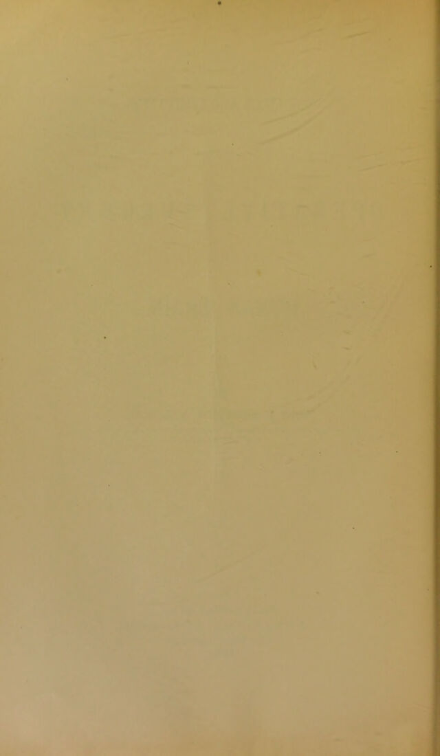 digitised image 2