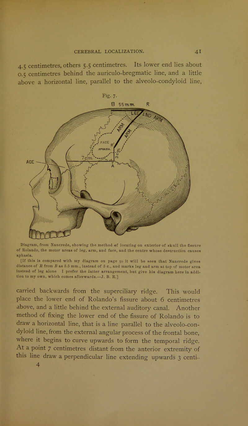 4.5 centimetres, others 5.5 centimetres. Its lower end lies about 0.5 centimetres behind the auriculo-bregmatic line, and a little above a horizontal line, parallel to the alveolo-condyloid line, Fig. 7. B 55 mm R Diagram, from Nancrede, showing the method «f locating on exterior of skull the fissure of Rolando, the motor areas of leg, arm, and face, and the centre whose destruction causes aphasia. [If this is compared with my diagram on page 50 it will he seen that Nancrede gives distance of Jl from B as 5.5 mm., instead of 5 c., and marks leg and arm at top of motor area instead of leg alone I prefer the latter arrangement, but give his diagram here in addi- tion to my own, which comes afterwards.—J. B. R.] carried backwards from the superciliary ridge. This would place the lower end of Rolando’s fissure about 6 centimetres above, and a little behind the external auditory canal. Another method of fixing the lower end of the fissure of Rolando is to draw a horizontal line, that is a line parallel to the alveolo-con- dyloid line, from the external angular process of the frontal bone, where it begins to curve upwards to form the temporal ridge. At a point 7 centimetres distant from the anterior extremity of this line draw a perpendicular line extending upwards 3 centi- 4