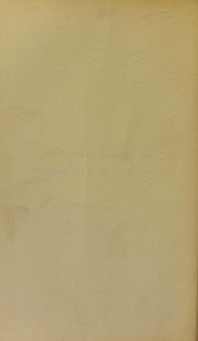 digitised image 2