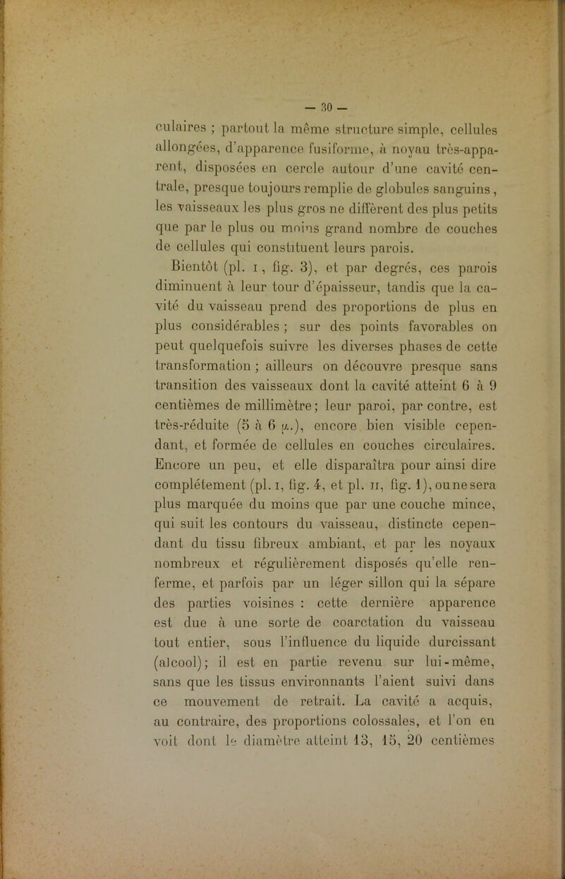 culaires ; partout la même structure simple, cellules allongées, d’apparence fusiforme, à noyau très-appa- rent, disposées en cercle autour d’une cavité cen- trale, presque toujours remplie de globules sanguins, les vaisseaux les plus gros ne diffèrent des plus petits que par le plus ou moins grand nombre de couches de cellules qui constituent leurs parois. Bientôt (pl. i, fig. 3), et par degrés, ces parois diminuent à leur tour d’épaisseur, tandis que la ca- vité du vaisseau prend des proportions de plus en plus considérables ; sur des points favorables on peut quelquefois suivre les diverses phases de cette transformation ; ailleurs on découvre presque sans transition des vaisseaux dont la cavité atteint 6 à 9 centièmes de millimètre ; leur paroi, par contre, est très-réduite (5 à 6 y.), encore bien visible cepen- dant, et formée de cellules en couches circulaires. Encore un peu, et elle disparaîtra pour ainsi dire complètement (pl. i, fig. 4, et pl. u, fig. l),ounesera plus marquée du moins que par une couche mince, qui suit les contours du vaisseau, distincte cepen- dant du tissu fibreux ambiant, et par les noyaux nombreux et régulièrement disposés qu’elle ren- ferme, et parfois par un léger sillon qui la sépare des parties voisines : cette dernière apparence est due à une sorte de coarctation du vaisseau tout entier, sous l'influence du liquide durcissant (alcool); il est en partie revenu sur lui-même, sans que les tissus environnants l’aient suivi dans ce mouvement de retrait. La cavité a acquis, au contraire, des proportions colossales, et l’on en voit dont le diamètre atteint 13, 15, 20 centièmes
