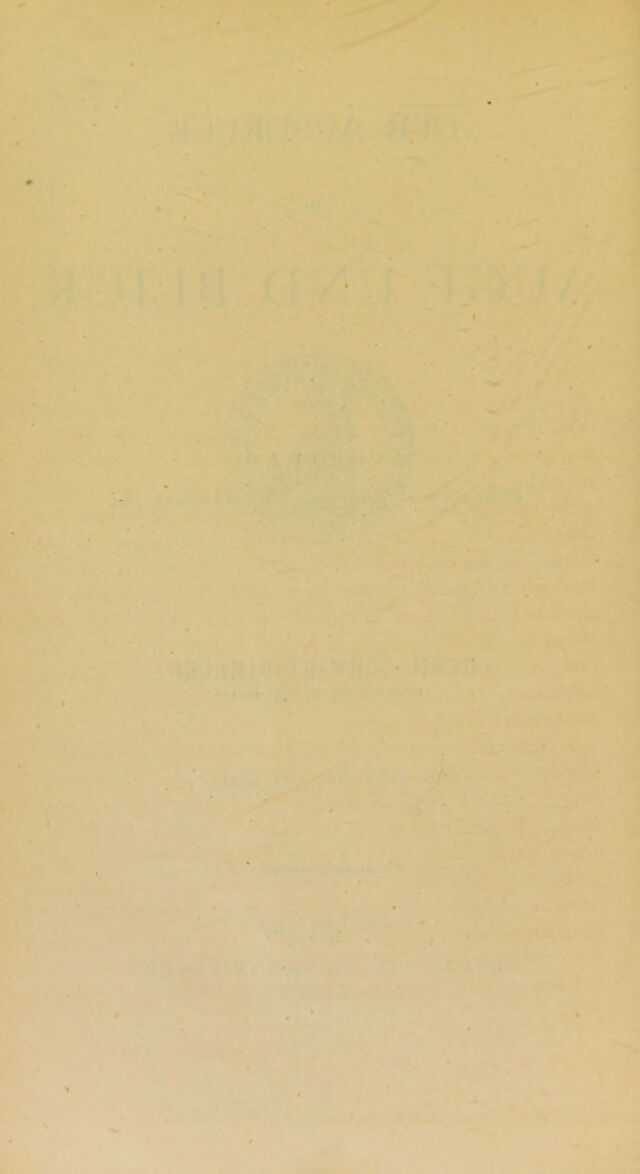 digitised image 2