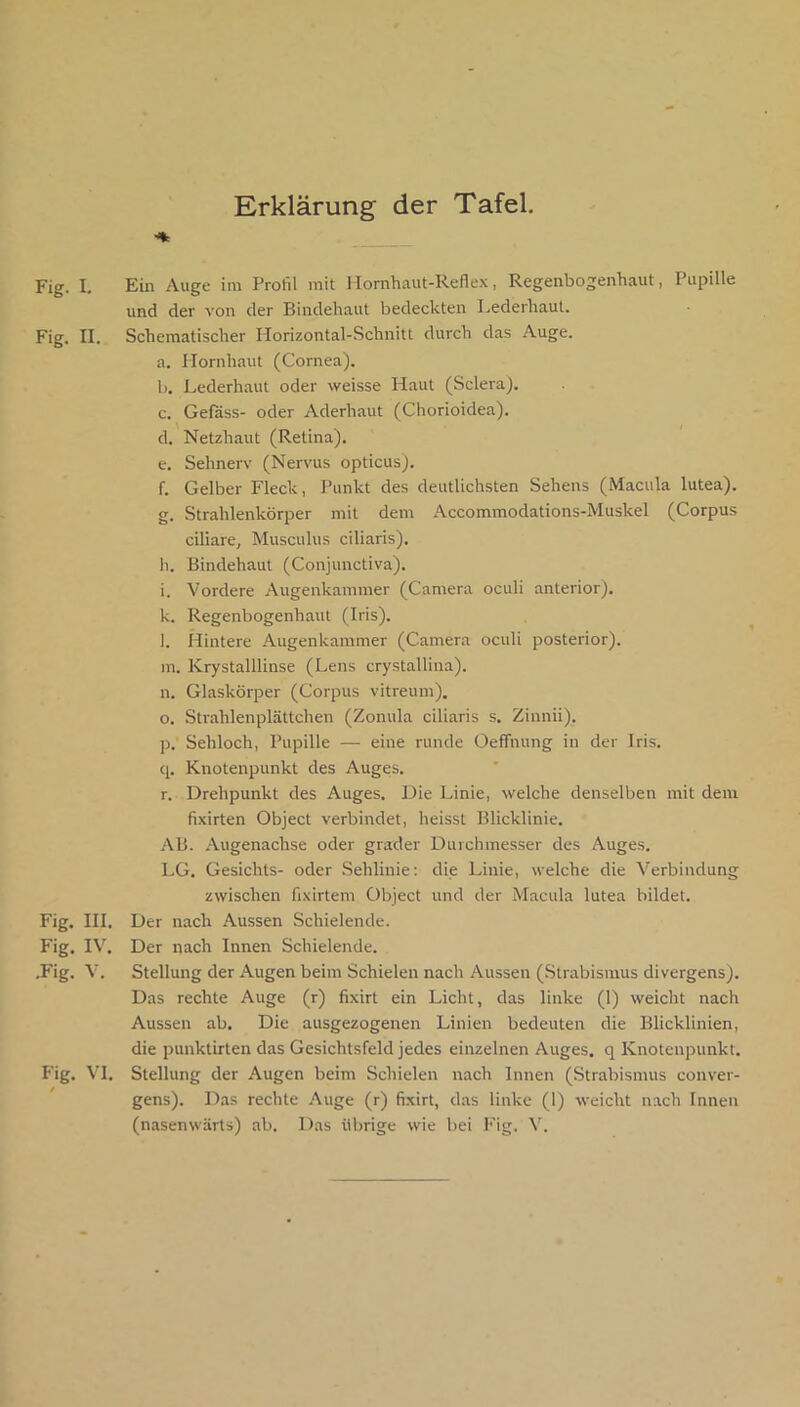 Erklärung der Tafel. _ Fig. I, Ein Auge im Profil mit Hornhaut-Reflex, Regenbogenhaut, Pupille und der von der Bindehaut bedeckten Lederhaul. Fig. II. Schematischer Horizontal-Schnitt durch das Auge, a. Hornhaut (Cornea). 1). Lederhaut oder weisse Haut (Sclera). c. Gelass- oder Aderhaut (Chorioidea). d. Netzhaut (Retina). e. Sehnerv (Nervus opticus). f. Gelber Fleck, Punkt des deutlichsten Sehens (Macula lutea). g. Strahlenkörper mit dem Accommodations-Muskel (Corpus ciliare, Musculus ciliaris). h. Bindehaut (Conjunctiva). i. Vordere Augenkammer (Camera oculi anterior). k. Regenbogenhaut (Iris). l. Hintere Augenkammer (Camera oculi posterior). m. Krystalllinse (Lens crystallina). n. Glaskörper (Corpus vitreum), o. Strahlenplättchen (Zonula ciliaris s. Zinnii). p. Sehloch, Pupille — eine runde Oeffnung in der Iris. q. Knotenpunkt des Auges. r. Drehpunkt des Auges. Die Linie, welche denselben mit dem fixirten Object verbindet, heisst Blicklinie. AB. Augenachse oder grader Durchmesser des Auges. LG. Gesichts- oder Sehlinie: die Linie, welche die Verbindung zwischen fixirtem Object und der Macula lutea bildet. Fig. III. Der nach Aussen Schielende. Fig. IV^ Der nach Innen Schielende. .Fig. V. Stellung der Augen beim Schielen nach Aussen (Strabismus divergens). Das rechte Auge (r) fixirt ein Licht, das linke (1) weicht nach Aussen ab. Die ausgezogenen Linien bedeuten die Blicklinien, die punktirten das Gesichtsfeld jedes einzelnen Auges, q Knotenpunkt. Fig. VI. Stellung der Augen beim Schielen nach Innen (Strabismus conver- gens). Das rechte Auge (r) fixirt, das linke (1) weicht nach Innen