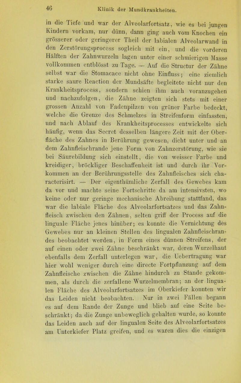 4G in die Tiefe und war der Alveolarfortsatz, wie es bei jungen Kindern vorkam, nur dünn, dann ging auch vom Knochen ein grösserer oder geringerer Theil der labialen Alveolarwand in den Zerstörungsprocess sogleich mit ein, und die vorderen Hälften der Zahnwurzeln lagen unter einer schmierigen Masse vollkommen entblösst zu Tage. — Auf die Structur der Zähne selbst war die Stomacace nicht ohne Einfluss; eine ziemlich starke saure Reaction der Mundsäfte begleitete nicht nur den Krankheitsprocess, sondern schien ihm auch voranzugehen und nachzufolgen, die Zähne zeigten sich stets mit einer grossen Anzahl von Fadenpilzen von grüner Farbe bedeckt, welche die Grenze des Schmelzes in Streifenform einfassten, und nach Ablauf des Krankheitsprocesses entwickelte sich häufig, wenn das Secret desselben längere Zeit mit der Ober- fläche des Zahnes in Berührung gewesen, dicht unter und an dem Zahnfleischrande jene Form von Zahnzerstörung, wie sie bei Säurebildung sich einstellt, die von weisser Farbe und kreidiger, bröckliger Beschaffenheit ist und durch ihr Vor- kommen an der Berührungsstelle des Zahnfleisches sich cha- racterisirt. — Der eigentümliche Zerfall des Gewebes kam da vor und machte seine Fortschritte da am intensivsten, wo keine oder nur geringe mechanische Abreibung stattfand, das war die labiale Fläche des Alveolarfortsatzes und das Zahn- fleisch zwischen den Zähnen, selten griff der Process auf die linguale Fläche jenes hinüber; es konnte die Vernichtung des Gewebes nur an kleinen Stellen des lingualen Zahnfleischran- des beobachtet werden, in Form eines dünnen Streifens, der auf einen oder zwei Zähne beschränkt war, deren Wurzelhaut ebenfalls dem Zerfall unterlegen war, die Uebertragung war hier wohl weniger durch eine directe Fortpflanzung auf dem Zahnfleische zwischen die Zähne hindurch zu Staude gekom- men, als durch die zerfallene Wurzelmembran; an der lingua- len Fläche des Alveolarfortsatzes im Oberkiefer konnten wir das Leiden nicht beobachten. Nur in zwei Fällen begann es auf dem Rande der Zunge und blieb auf eine Seite be- schränkt; da die Zunge unbeweglich gehalten wurde, so konnte das Leiden auch auf der lingualen Seite des Alveolarfortsatzes am Unterkiefer Platz greifen, und es waren dies die einzigen