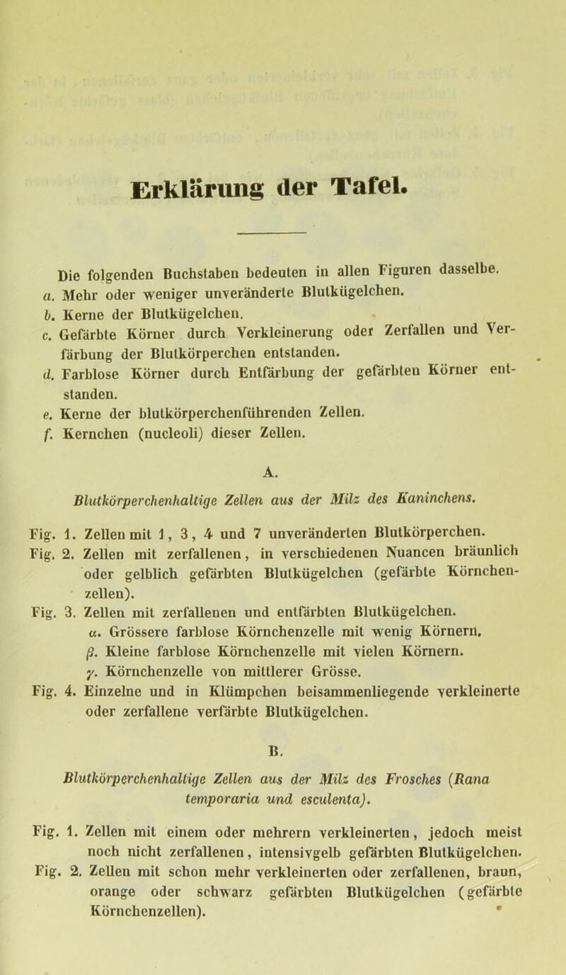Erklärung der Tafel. Die folgenden Buchstaben bedeuten in allen Figuren dasselbe. a. Mehr oder weniger unveränderte Blulkügelchen. b. Kerne der Blulkügelchen. c. Gefärbte Körner durch Verkleinerung oder Zerfallen und Ver- färbung der Blutkörperchen entstanden. d. Farblose Körner durch Entfärbung der gefärbten Körner ent- standen. e. Kerne der blutkörperchenführenden Zellen. f. Kernchen (nucleoli) dieser Zellen. A. Blutkörperchenhaltige Zellen aus der Müs des Kaninchens. Fig. 1. Zellen mit J, 3, 4 und 7 unveränderten Blutkörperchen. Fig. 2. Zellen mit zerfallenen, in verschiedenen Nuancen bräunlich oder gelblich gefärbten Blulkügelchen (gefärbte Körnchen- zellen). Fig. 3. Zellen mit zerfallenen und entfärbten Blulkügelchen. «. Grössere farblose Körnchenzelle mit wenig Körnern, ß. Kleine farblose Körnchenzelle mit vielen Körnern. y. Körnchenzelle von mittlerer Grösse. Fig. 4. Einzelne und in Klümpchen beisammenliegende verkleinerte oder zerfallene verfärbte Blulkügelchen. B. Blutkörperchenhallige Zellen aus der Mils des Frosches (Rana temporaria und esculenla). Fig. 1. Zellen mit einem oder mehrern verkleinerten, jedoch meist noch nicht zerfallenen, intensivgelb gefärbten Blulkügelchen. Fig. 2. Zellen mit schon mehr verkleinerten oder zerfallenen, braun, orange oder schwarz gefärbten Blutkügelchen (gefärbte Körnchenzellen).