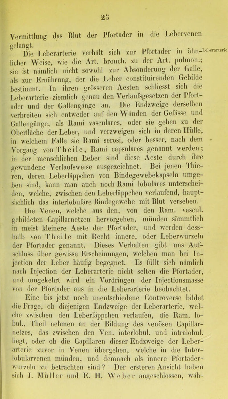 Vermittlung das Blut der Pfortader in die Lebervenen gelangt. , . Die Leberarterie verhält sich zur Pfortader in ahn-Lei''-artcr.e, licher Weise, wie die Art. bronch. zu der Art. pulmon.; sie ist nämlich nicht soAvohl zur Absonderung der Galle, als zur Ernährung, der die Leber constituirenden Gebilde bestimmt. In ihren grösseren Aesten schliesst sich die Leberarterie ziemlich genau den Verlaufsgesetzen der Pfort- ader und der Gallengänge an. Die Endzweige derselben verbreiten sich entweder auf den änden der Gefässe und Gallengänge, als Rami vasculares, oder sie gehen zu der Oberiläche der Leber, und verzweigen sich in deren Hülle, in welchem Falle sie Rami serosi, oder besser, nach dem - Vorgang von T h e i 1 e , Rami capsulares genannt werden ; in der menschlichen Leber sind diese Aeste durch ihre gewundene VerlaufsAveise ausgezeichnet. Bei jenen Thie- ren, deren Leberläppchen von Bindegewebekapseln umge- ben sind, kann man auch noch Rami lobulares unterschei- den, welche, zwischen den Leberläppchen verlaufend, haupt- sächlich das interlobuläre Bindegewebe mit Blut versehen. Die Venen, welche aus den, von den Ram. vascul. gebildeten Capillarnetzen hervorgehen, münden sämmtlich in meist kleinere Aeste der Pfortader, und werden dess- halb von Th eile mit Recht innere, oder Leberwurzeln der Pfortader genannt. Dieses Verhalten gibt uns Auf- schluss über gewisse Erscheinungen, welchen man bei In- jection der Leber häufig begegnet. Es füllt sich nämlich nach Injection der Leberarterie nicht selten die Pfortader, und umgekehrt Avird ein Vordringen der Injectionsmasse von der Pfortader aus in die Leberarterie beobachtet. Eine bis jetzt noch unentschiedene Controverse bildet die l'rage, ob diejenigen EndzAveige der Leberarterie, Avel- ciie zAvischen den Leberläppchen verlaufen, die Ram. lo- hul., Theil nehmen an der Bildung des venösen Capillar- netzes, das zwischen den Ven. interlobul. und intralobul. liegt, oder ob die Capillaren dieser EndzAveige der Leber- arterie zuvor in Venen übergehen, Avelche in die Inter- lobularvencn münden, und demnach als innere Pfortader- Aviirzeln zu betrachten sind ? Der erstereii Ansicht haben sich J. Müller und E. 11. W eber angeschlossen, Aväh-