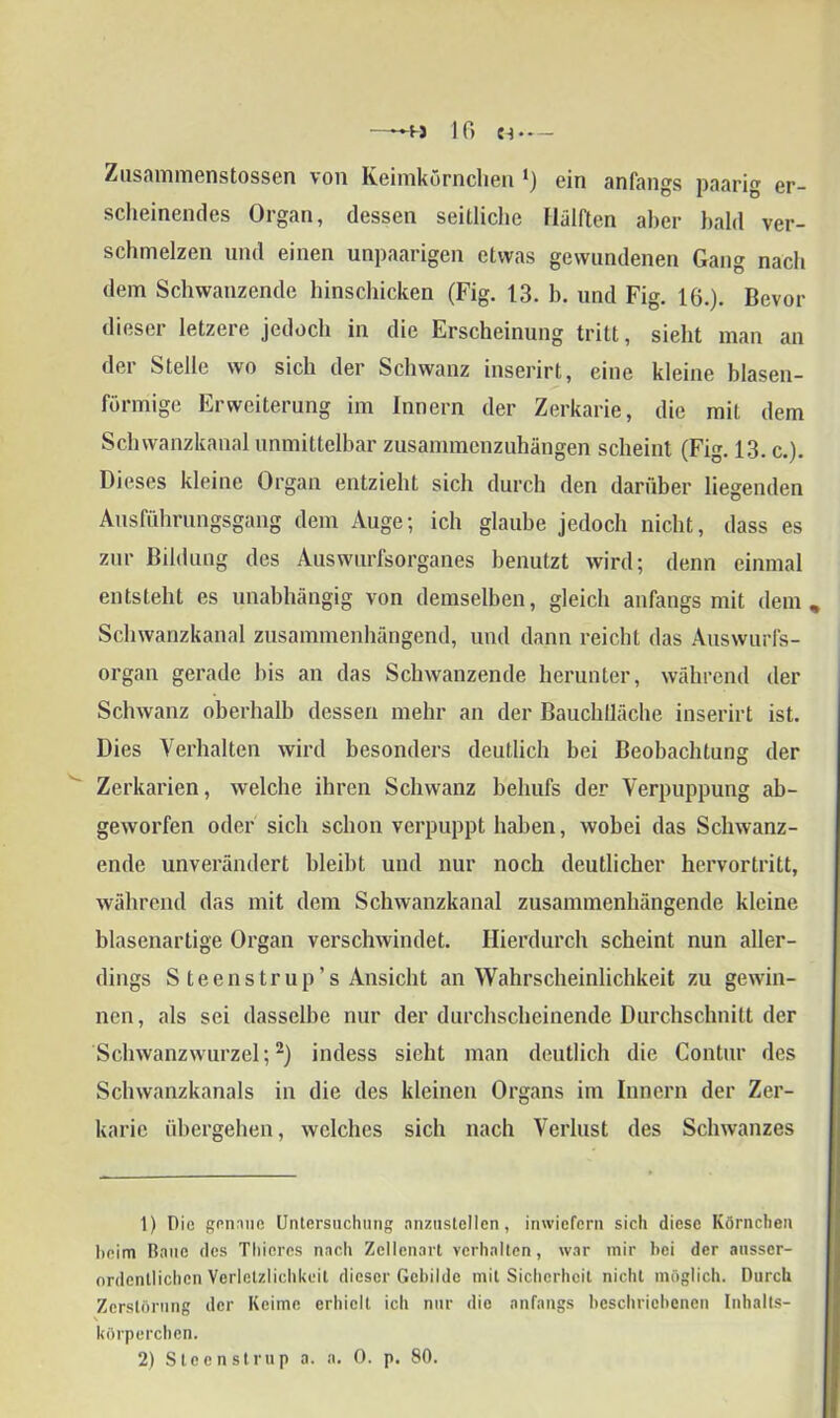 —16 C-t»— Zusammenstossen von Keimkörnclien *) ein anfangs paarig er- scheinendes Organ, dessen seitliche Hälften aber bald ver- schmelzen und einen unpaarigen etwas gewundenen Gang nach dem Schwanzende hinschicken (Fig. 13. b. und Fig. 16.). Bevor dieser letzere jedoch in die Erscheinung tritt, sieht man an dei Stelle wo sich der Schwanz inserirt, eine kleine blasen- förmige Erweiterung im Innern der Zerkarie, die mit dem Schwanzkanal unmittelbar zusammenzuhängen scheint (Fig. 13. c.). Dieses kleine Organ entzieht sich durch den darüber liegenden Ansführungsgang dem Auge; ich glaube jedoch nicht, dass es zur Bildung des Auswurfsorganes benutzt wird; denn einmal entsteht es unabhängig von demselben, gleich anfangs mit dem. Schwanzkanal zusammenhängend, und dann reicht das Auswurfs- organ gerade bis an das Schwanzende herunter, während der Schwanz oberhalb dessen mehr an der Bauchiläche inserirt ist. Dies Verhalten wird besonders deutlich bei Beobachtung der Zerkarien, welche ihren Schwanz behufs der Verpuppung ab- geworfen oder sich schon verpuppt haben, wobei das Schwanz- ende unverändert bleibt und nur noch deutlicher hervortritt, während das mit dem Schwanzkanal zusammenhängende kleine blasenartige Organ verschwindet. Hierdurch scheint nun aller- dings S teenstrup’s Ansicht an Wahrscheinlichkeit zu gewin- nen, als sei dasselbe nur der durchscheinende Durchschnitt der Schwanzwurzel;1 2) indess sieht man deutlich die Contur des Schwanzkanals in die des kleinen Organs im Innern der Zer- karie übergehen, welches sich nach Verlust des Schwanzes 1) Die genaue Untersuchung anzustellen, inwiefern sich diese Körnchen beim Baue des Thicrcs nach Zellenart verhalten, war mir hei der ausser- ordentlichen Verletzlichkeit dieser Gebilde mit Sicherheit nicht möglich. Durch Zerstörung der Keime erhielt ich nur die anfangs beschriebenen Inhalts- \ körperchen.
