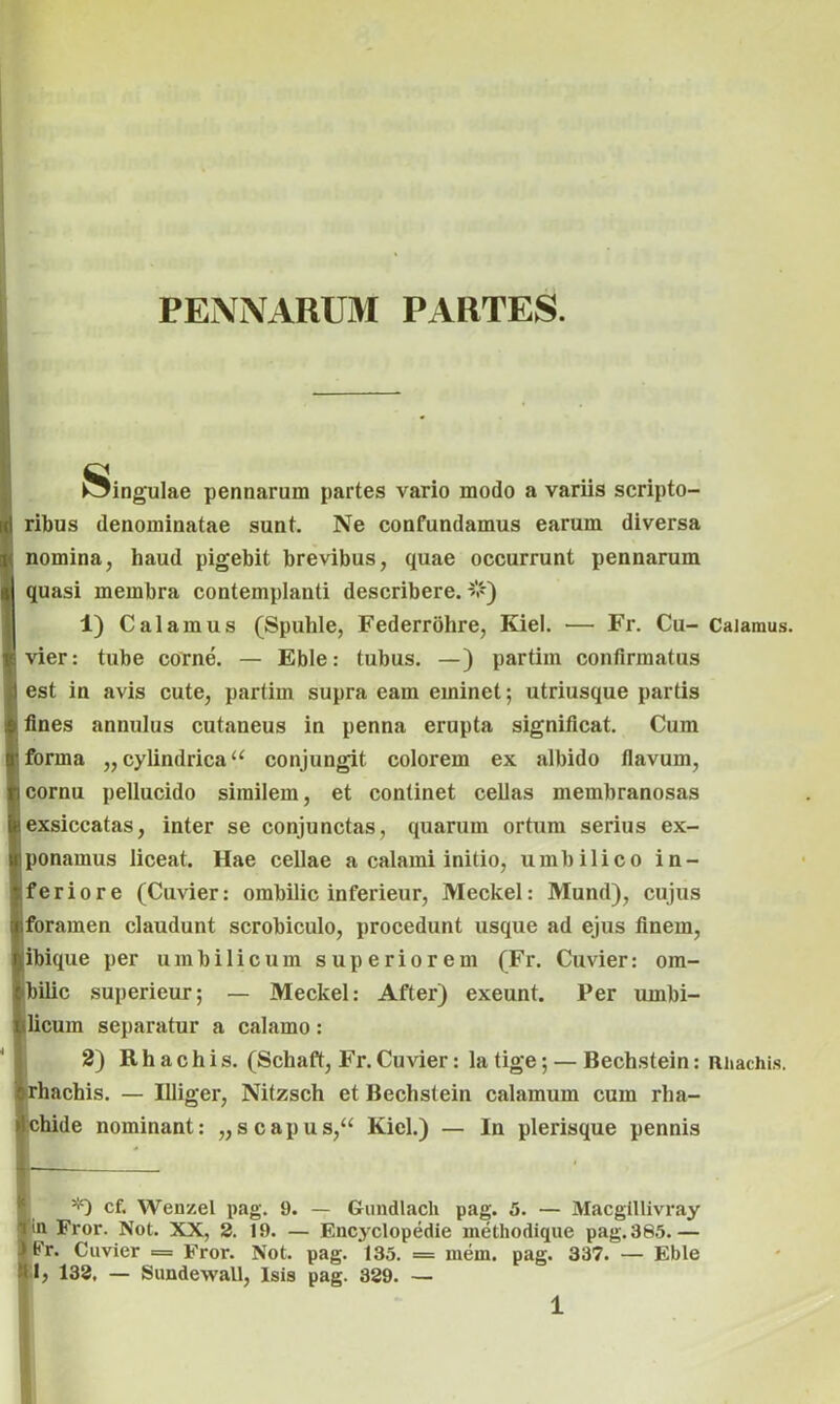 PENNARUM PARTES. — ' Singulae pennarum partes vario modo a variis scripto- I ribus denominatae sunt. Ne confundamus earum diversa I nomina, haud pigebit brevibus, quae occurrunt pennarum quasi membra contemplanti describere. &) 1) Calamus (Spuhle, Federrohre, Kiel. — Fr. Cu- Calamus, vier: tube corne. — Eble: tubus. —) partim confirmatus 1 est in avis cute, partim supra eam eminet; utriusque partis fines annulus cutaneus in penna erupta significat. Cum ■forma ,,cylindricau conjungit colorem ex albido flavum, cornu pellucido similem, et continet cellas membranosas '.exsiccatas, inter se conjunctas, quarum ortum serius ex- ponamus liceat. Hae cellae a calami initio, umbilico in- feriore (Cuvier: ombilic inferieur, Meckel: Mund), cujus .foramen claudunt scrobiculo, procedunt usque ad ejus finem, ibique per umbilicum superiorem (Fr. Cuvier: om- bilic superieur; — Meckel: After) exeunt. Per umbi- licum separatur a calamo: 2) R h a c h i s. (Schaft, Fr. Cuvier: la tige; — Bechstein: Rhachis. arhachis. — Illiger, Nitzsch et Bechstein calamum cum rha- »1 chide nominant: „ s c a p u s,“ Kiel.) — In plerisque pennis *) cf. Wenzel pag. i). — Gundlacli pag. 5. — Macgillivray iin Fror. Not. XX, 2. 19. — Encyclopedie methodique pag. 385.— ) B'r. Cuvier = Fror. Not. pag. 135. = mein. pag. 337. — Eble Ih 133, — Sundewall, Isis pag. 329. — 1